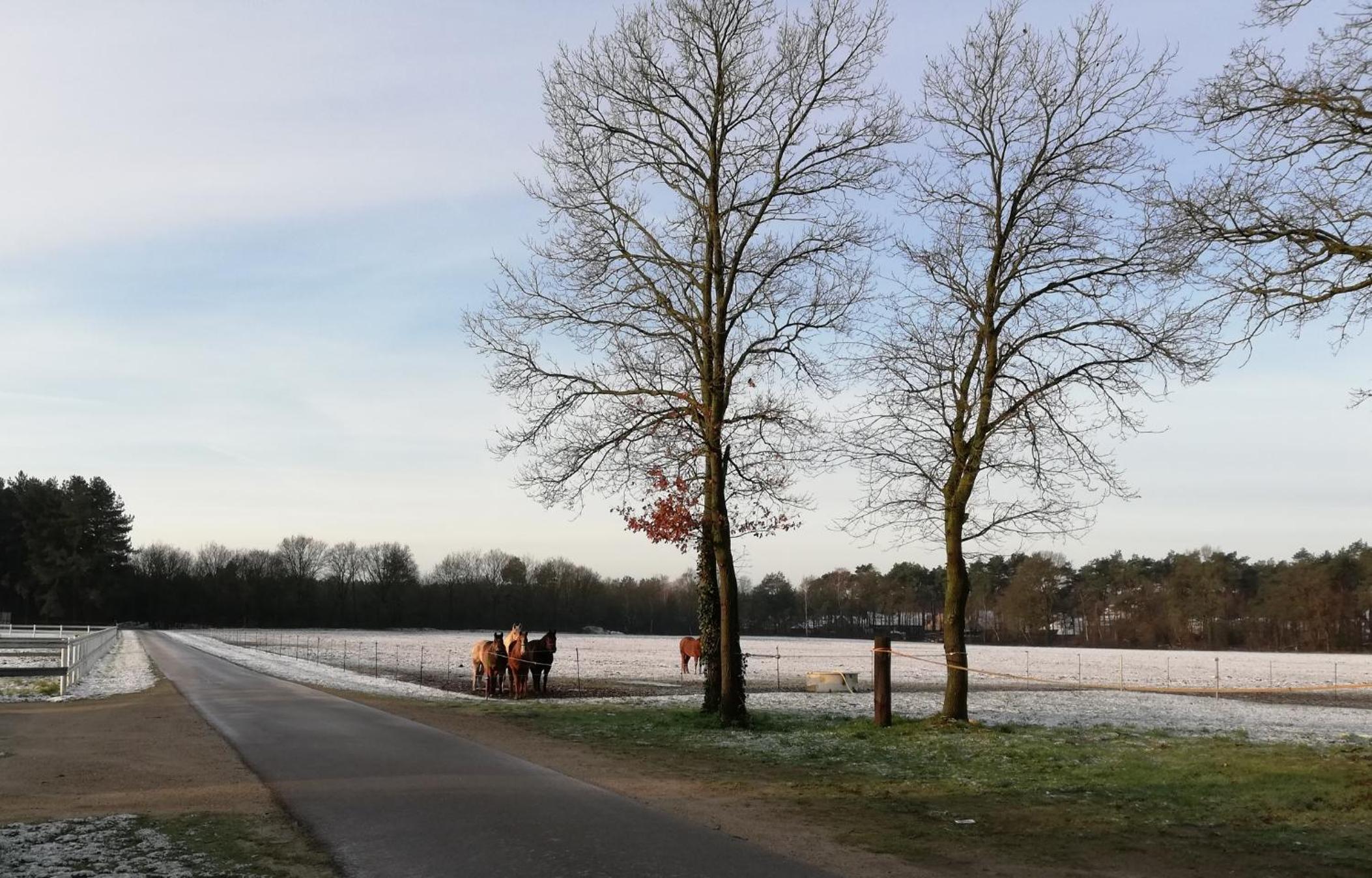Vakantiewoning Vennekens