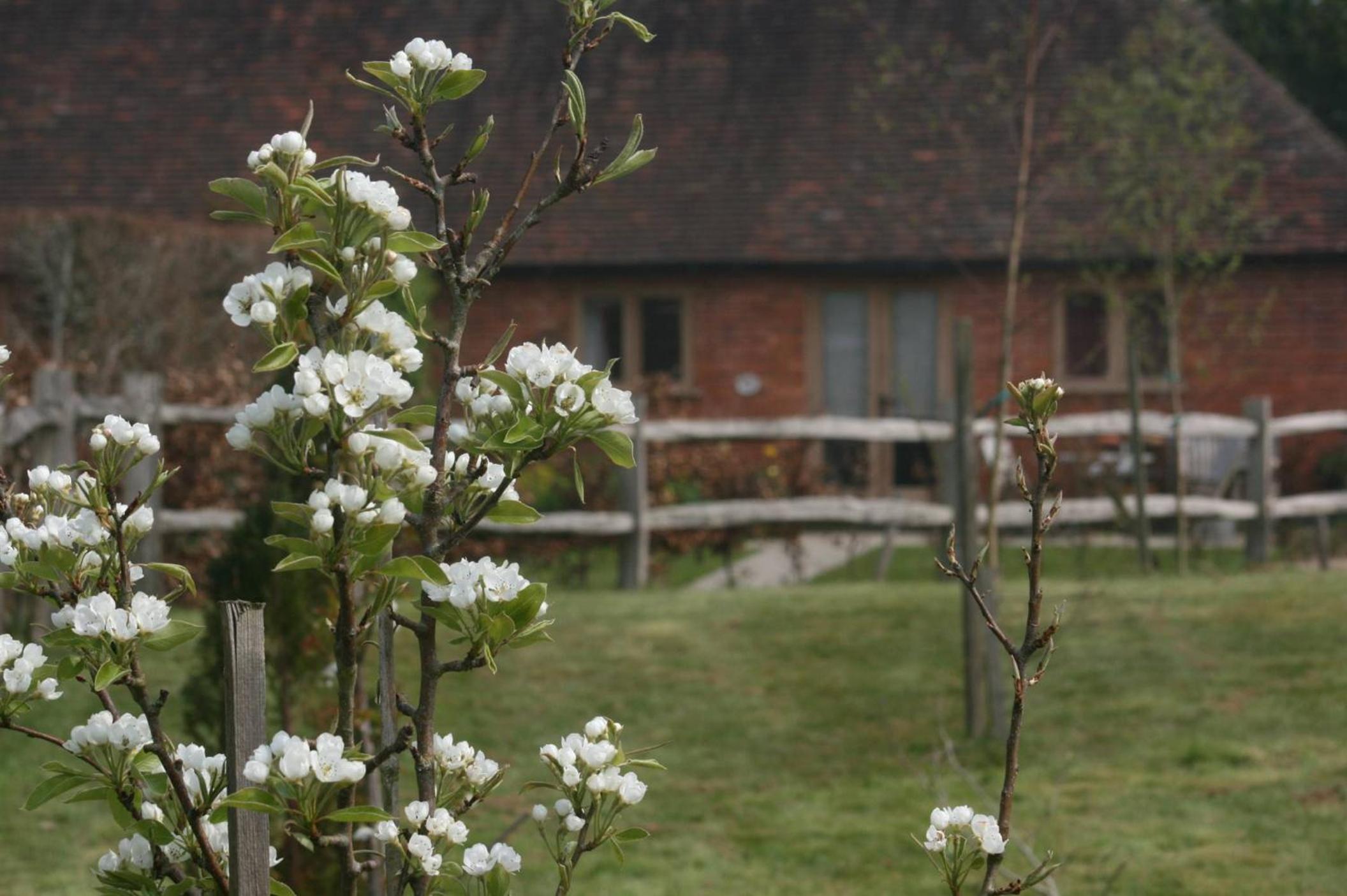 Three Chimneys Farm Accommodation view 5