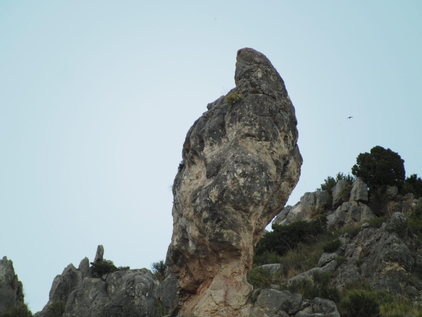 Photo 27