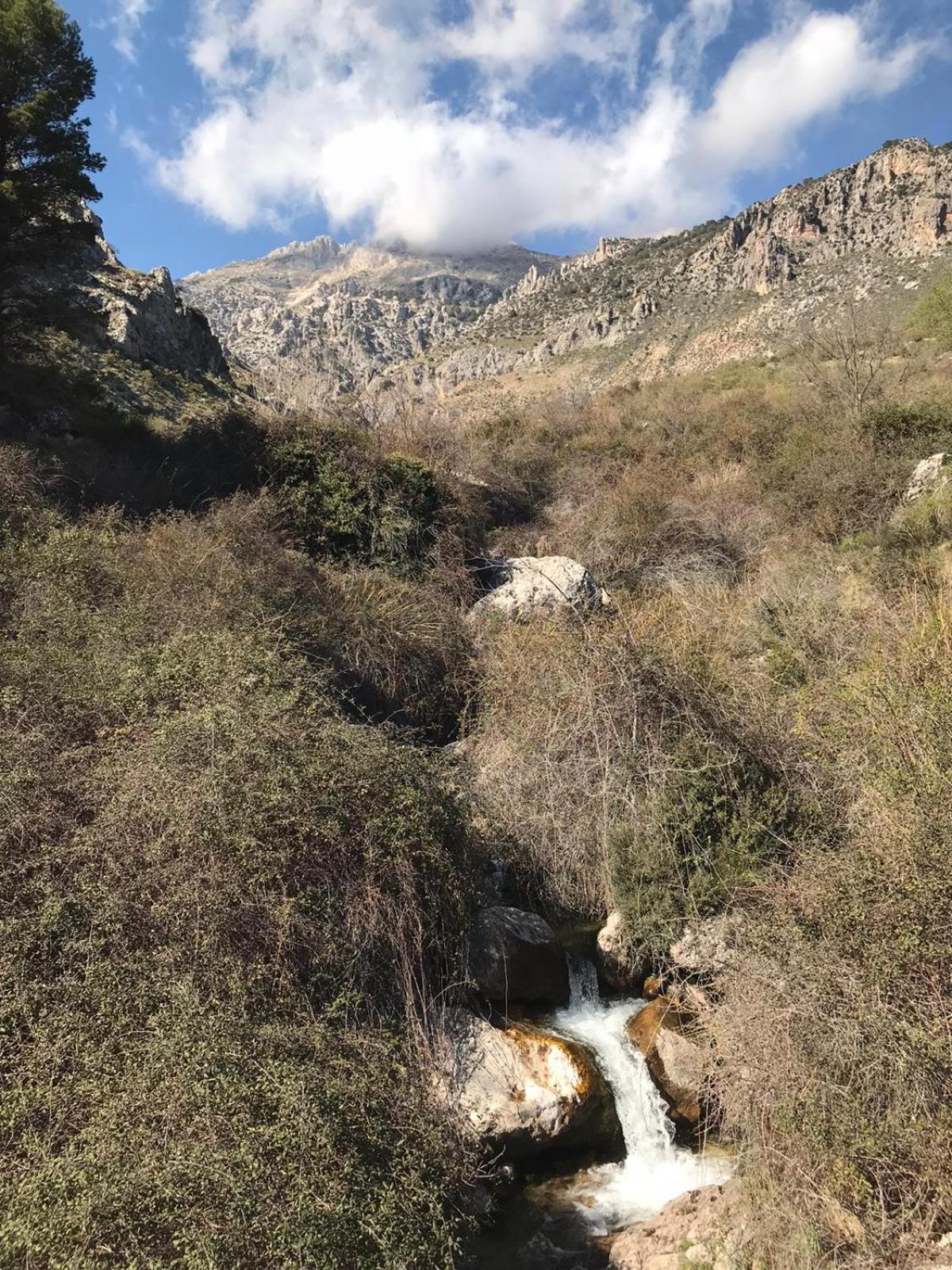 Photo 29