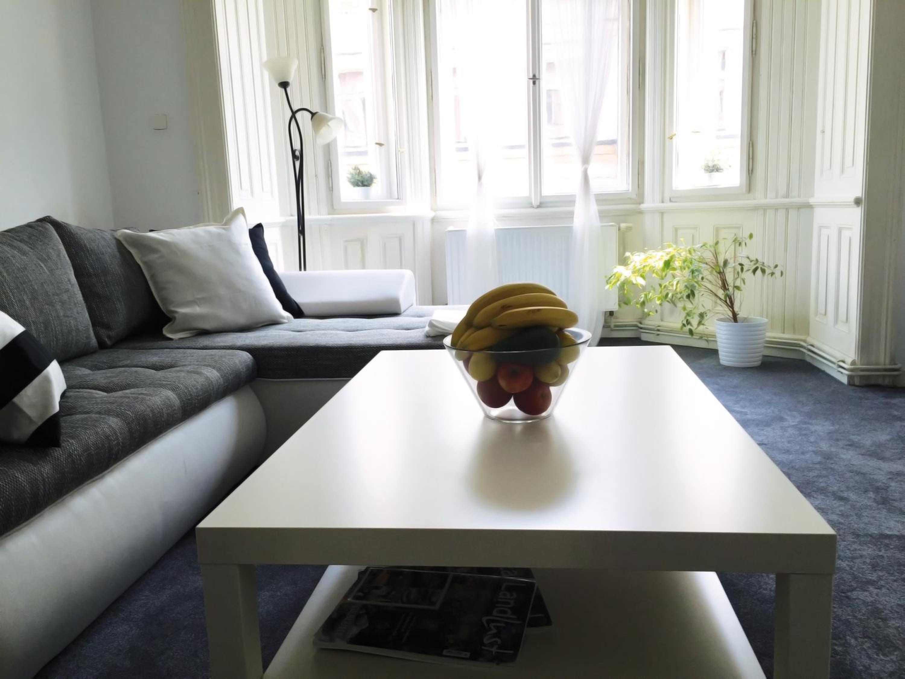 VIP city CENTER apartment Prague