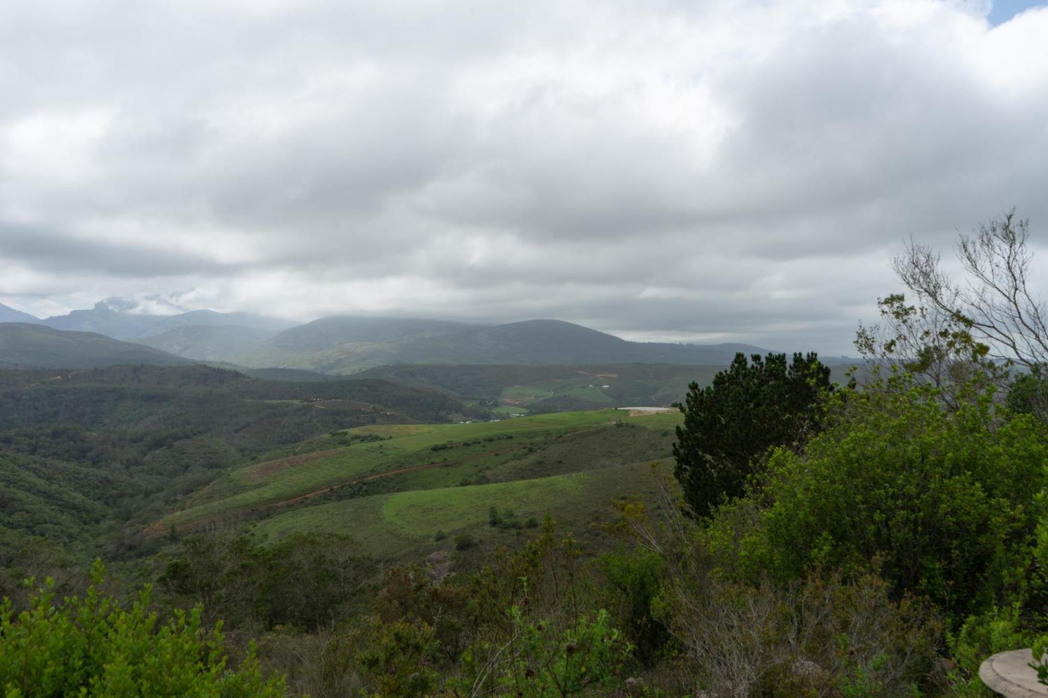 Outeniqua Moon Percheron Stud Farm