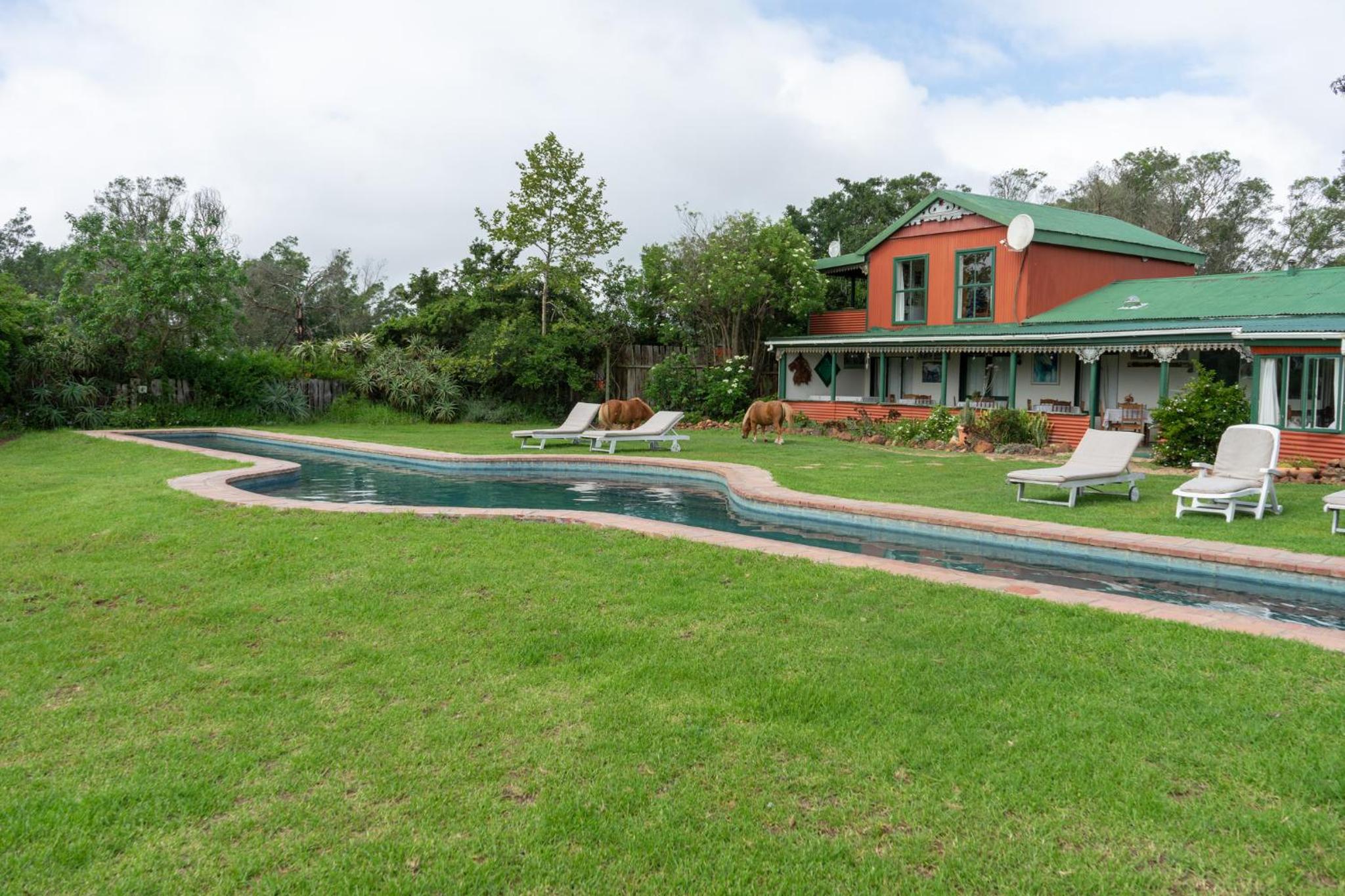 Outeniqua Moon Percheron Stud Farm