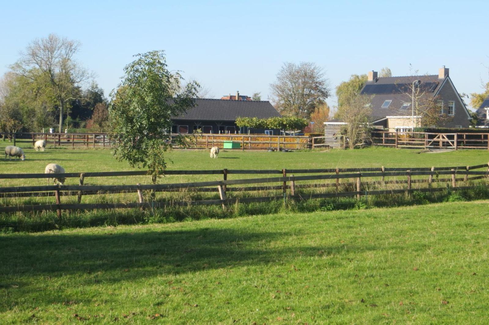 B&B Biesehof view 5
