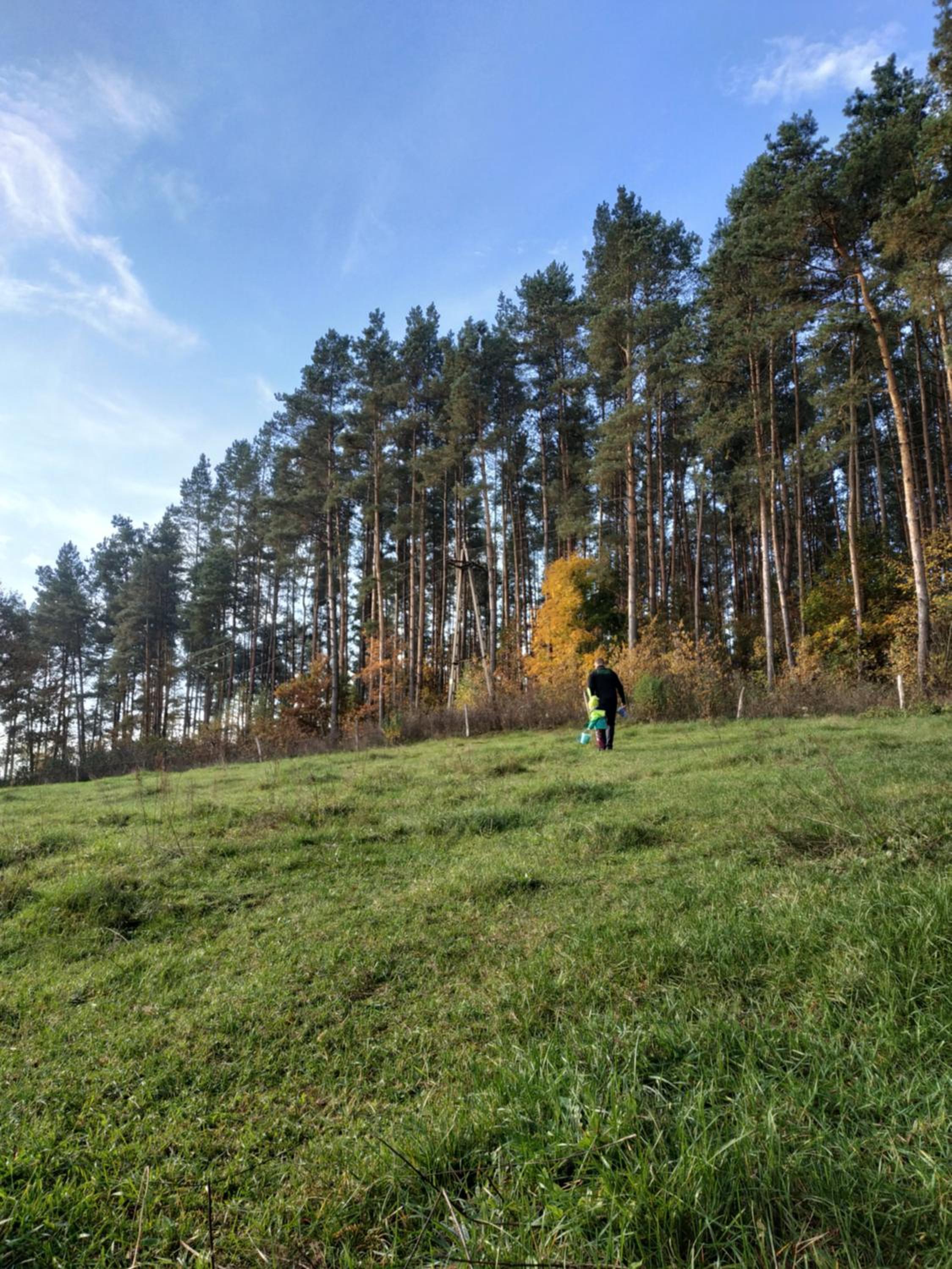 Domki nad jeziorem - Zalesie 7D