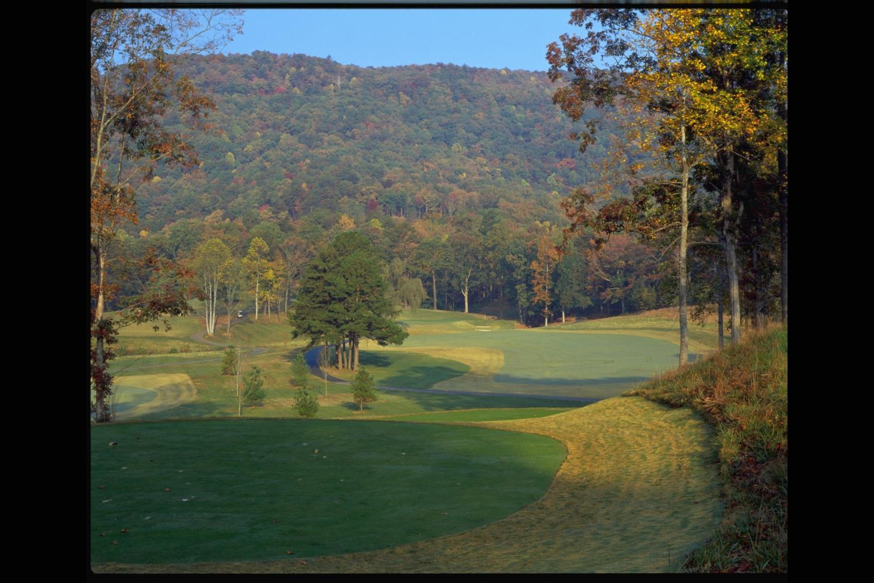 Kingwood Resort & Golf Club