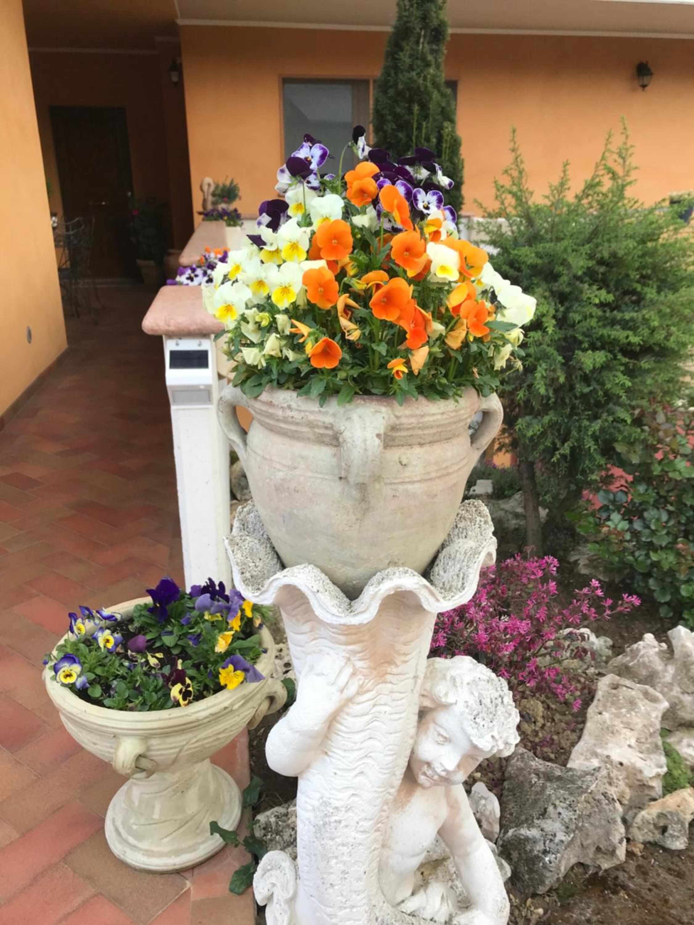 La Mammola Bed&Breakfast