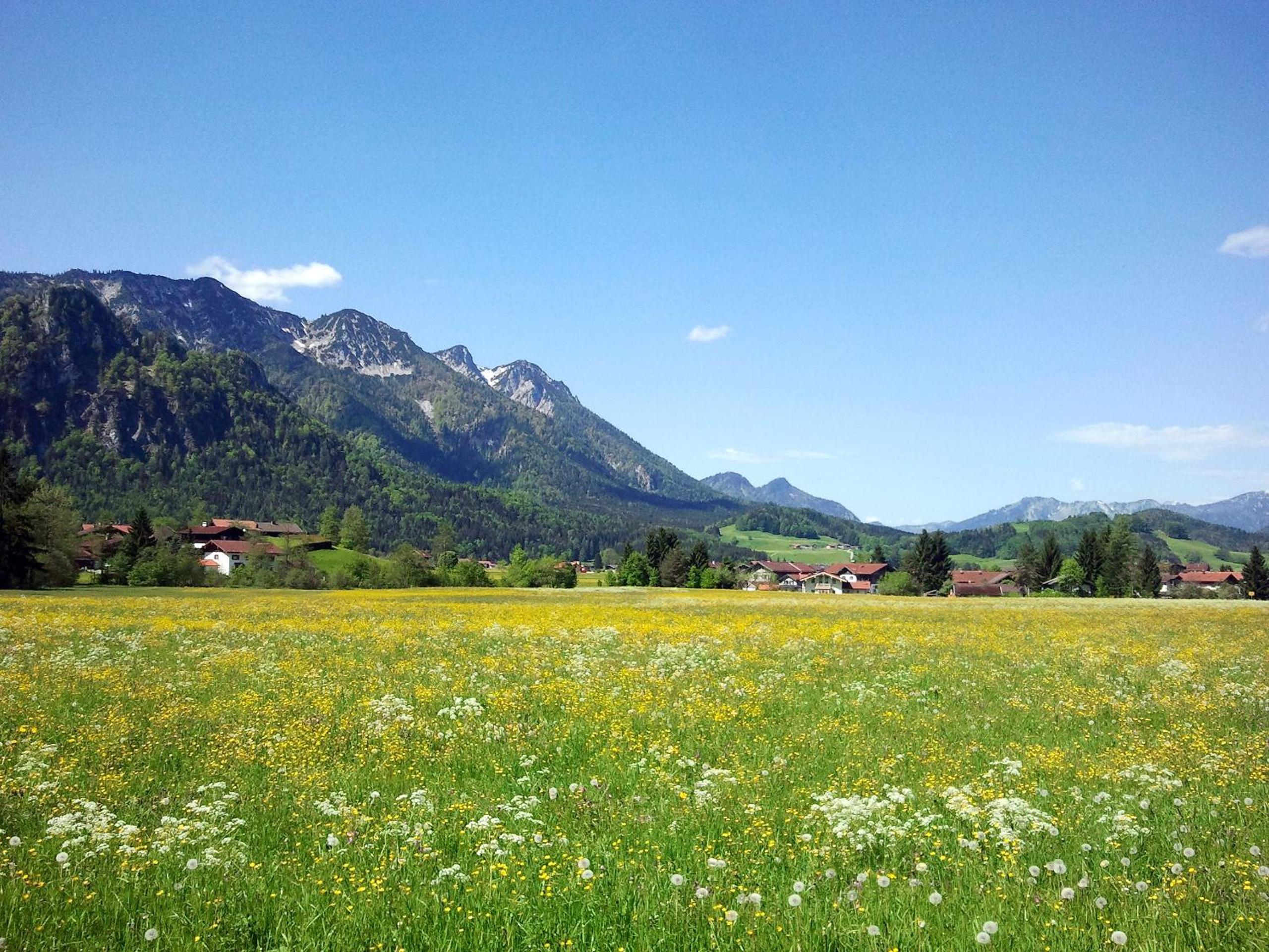Hubertus Appartements Inzell