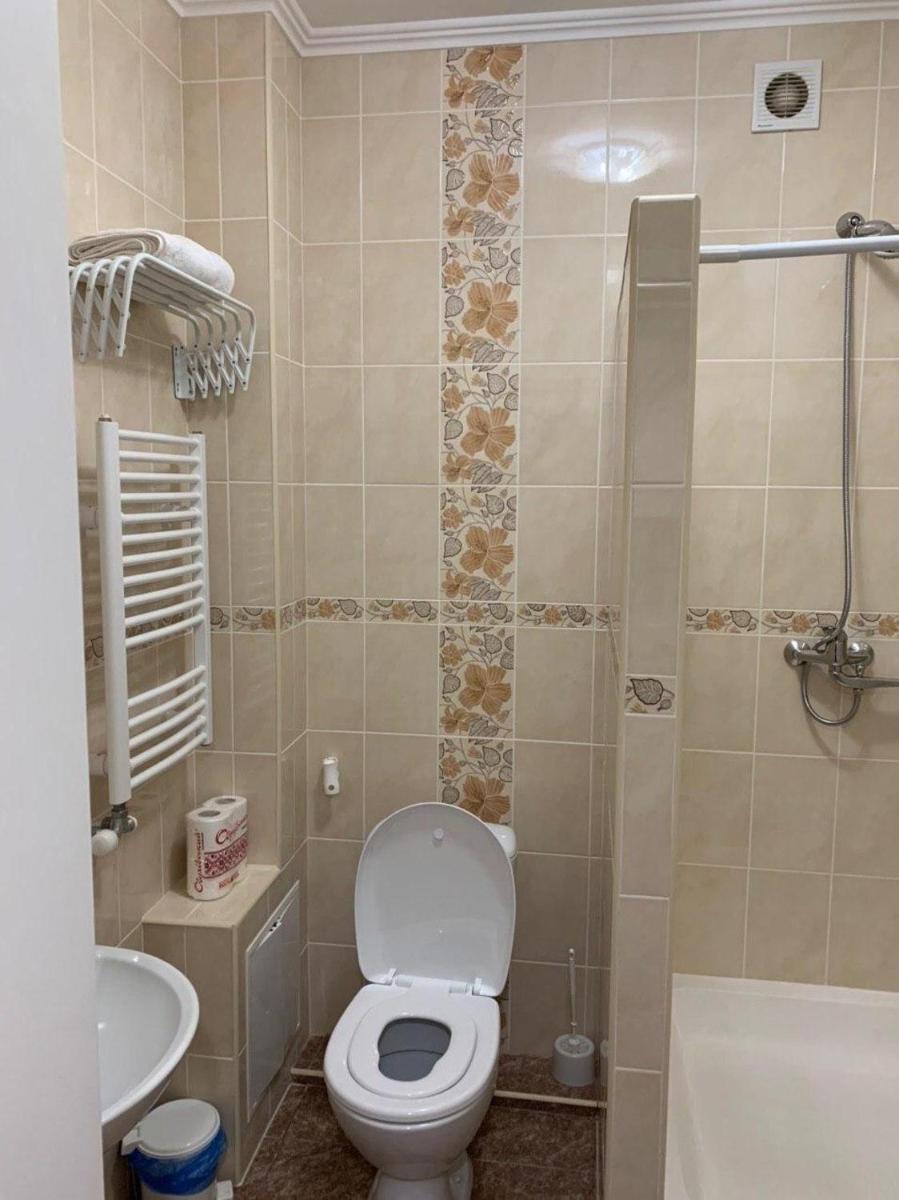 Apartments in Varosh Carpathians view 2