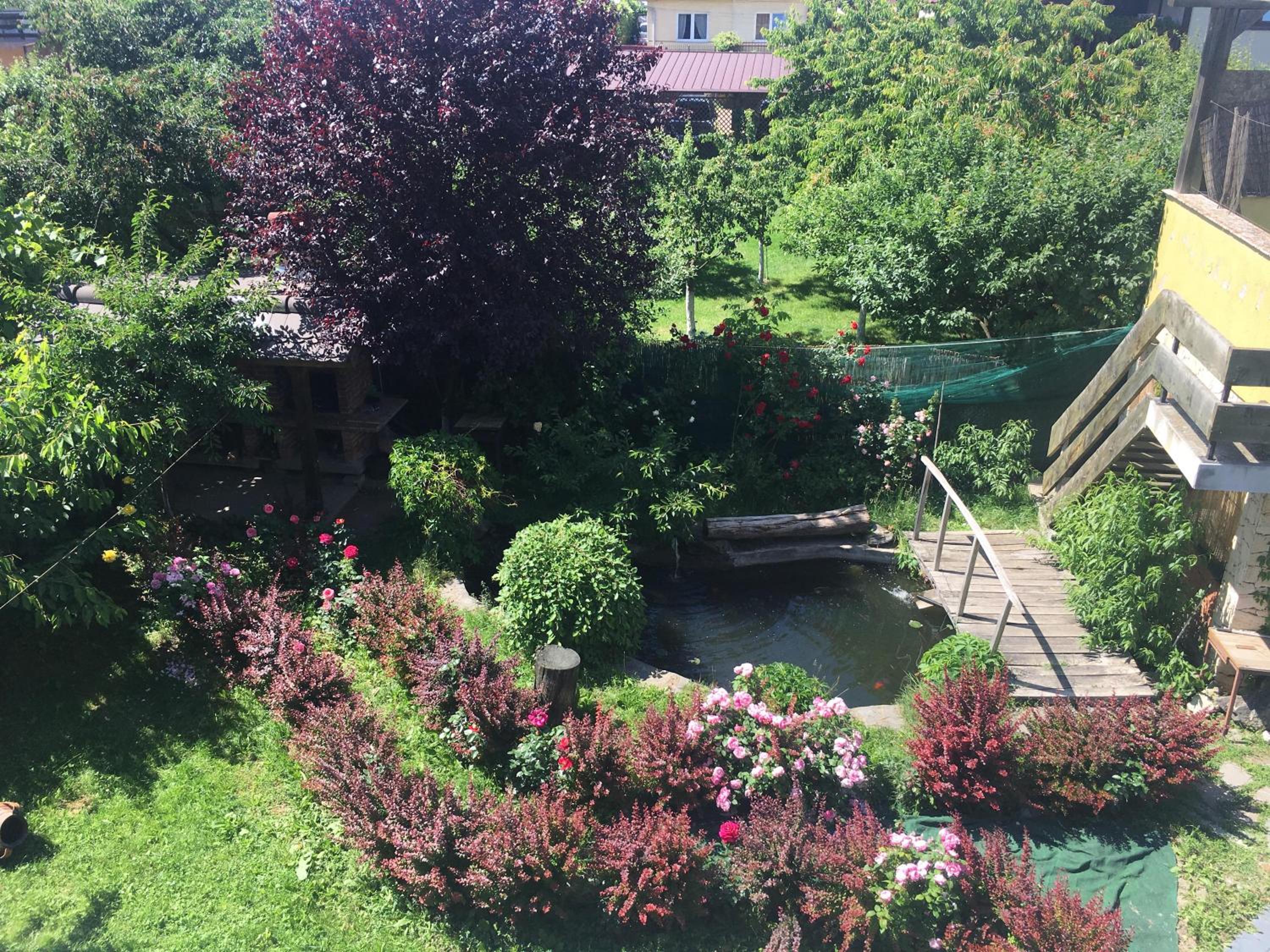 Pension Maria view 2