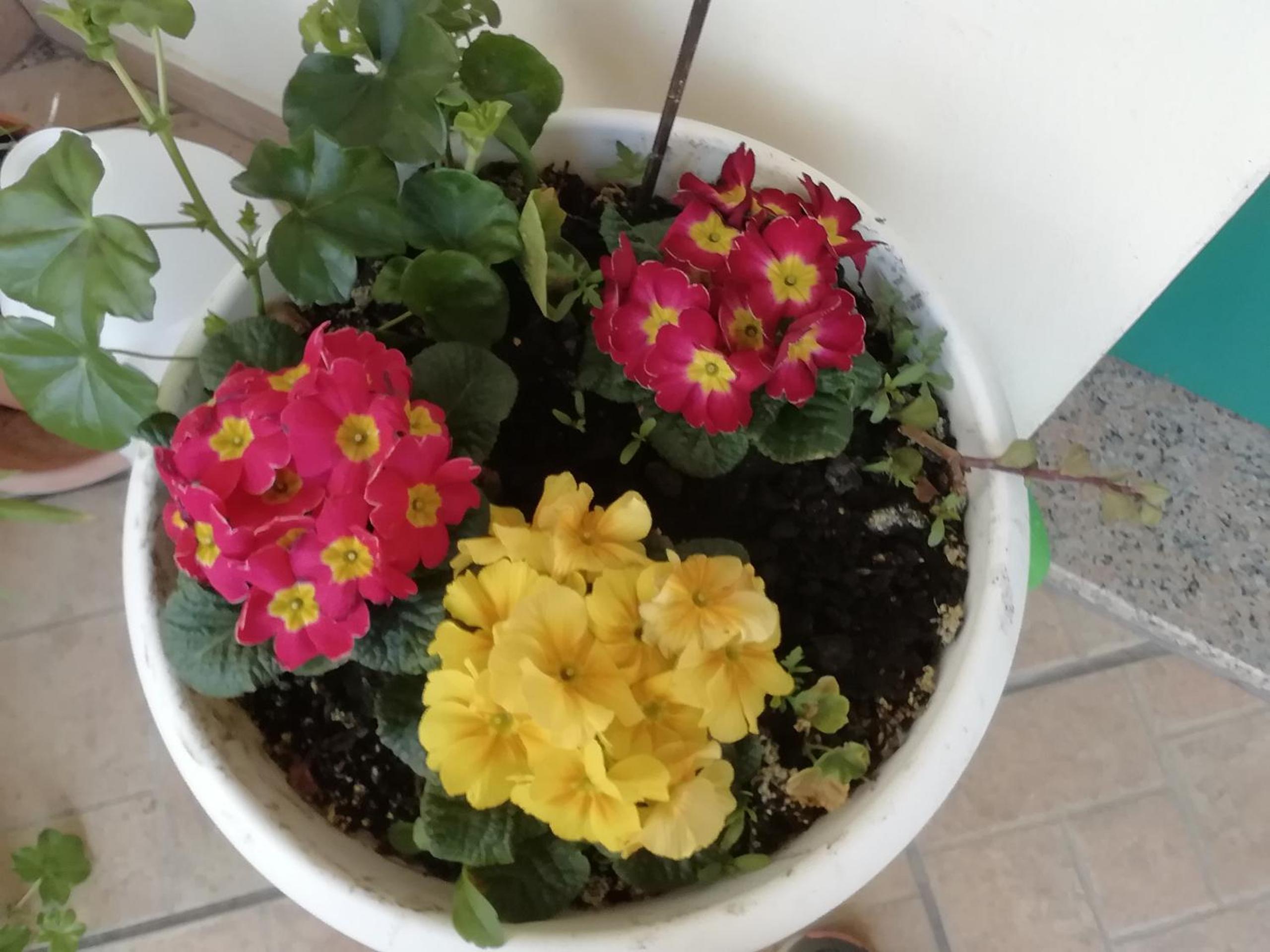 Photo 17