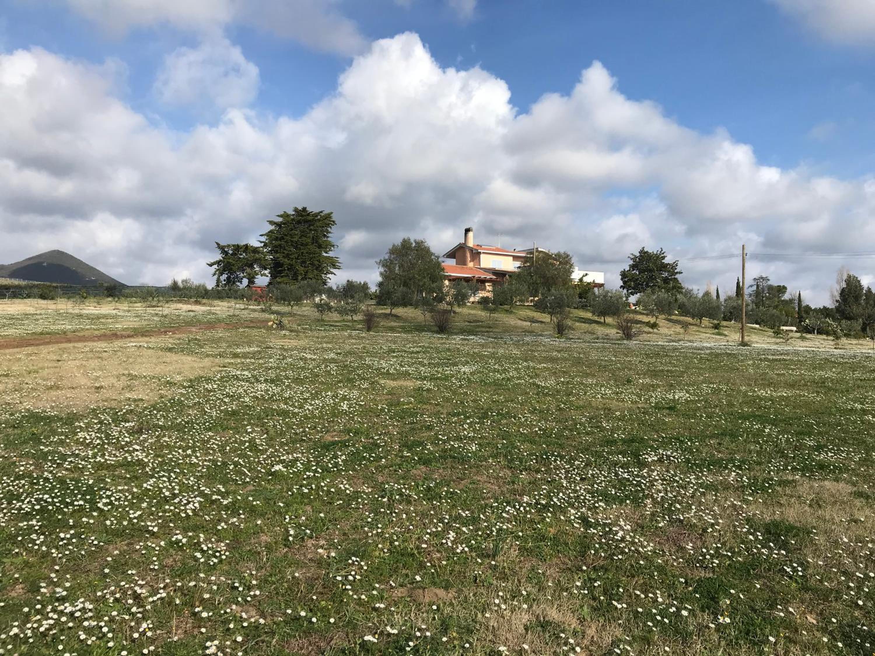 Photo 39
