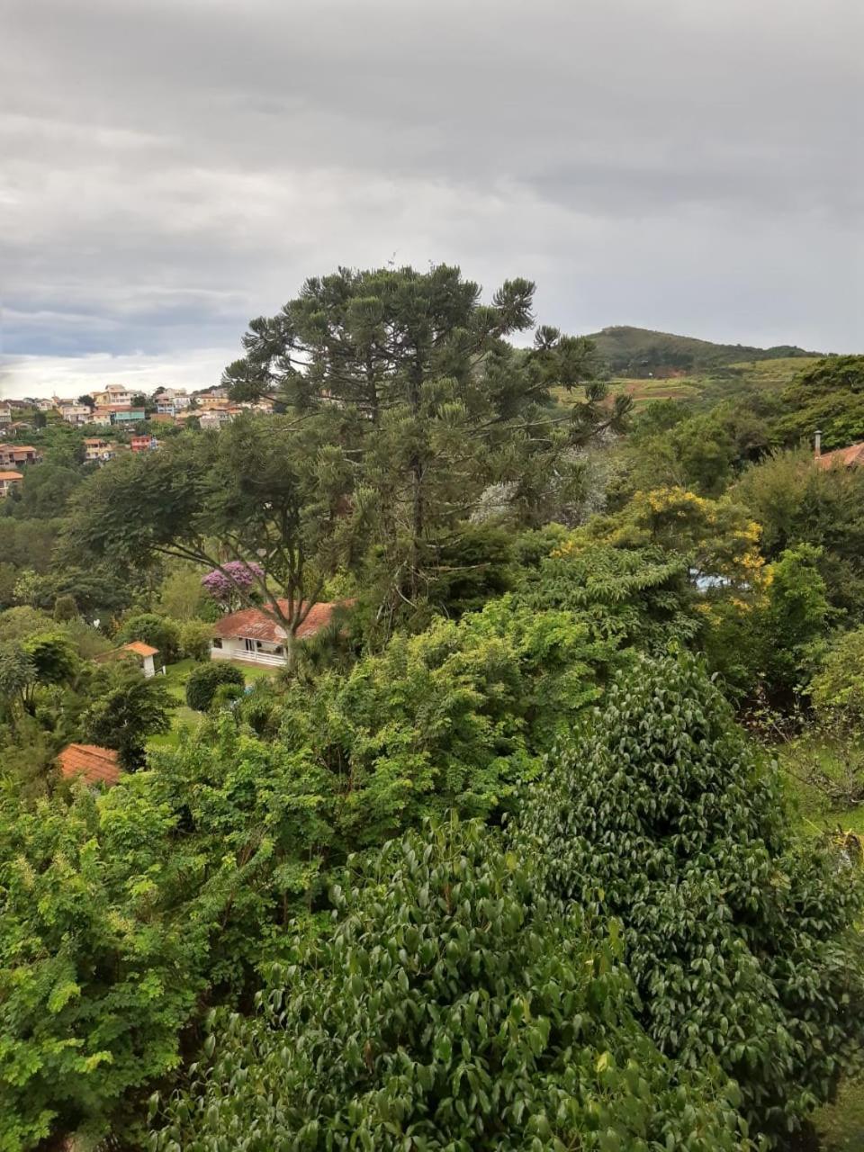 Pitaya Suítes