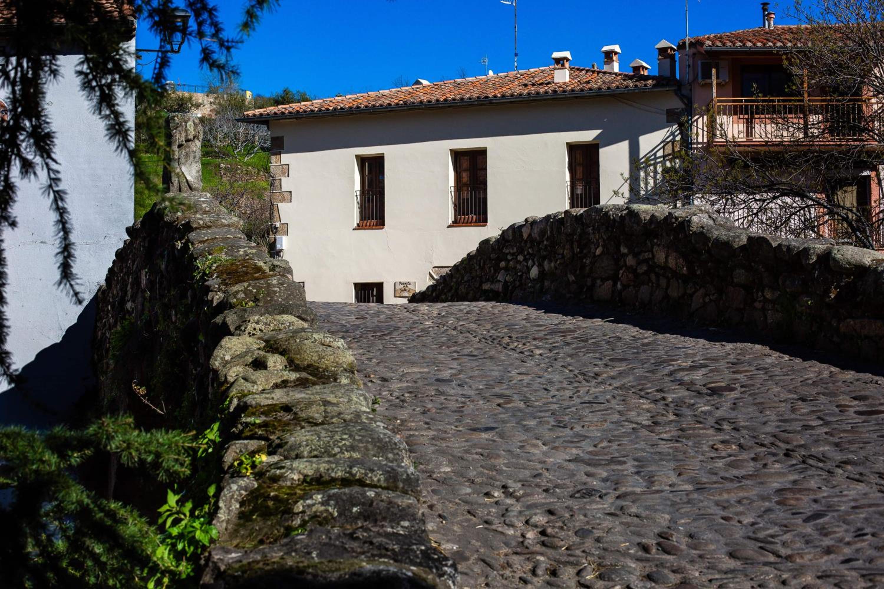 Apartamentos Puente de la Judería view 4