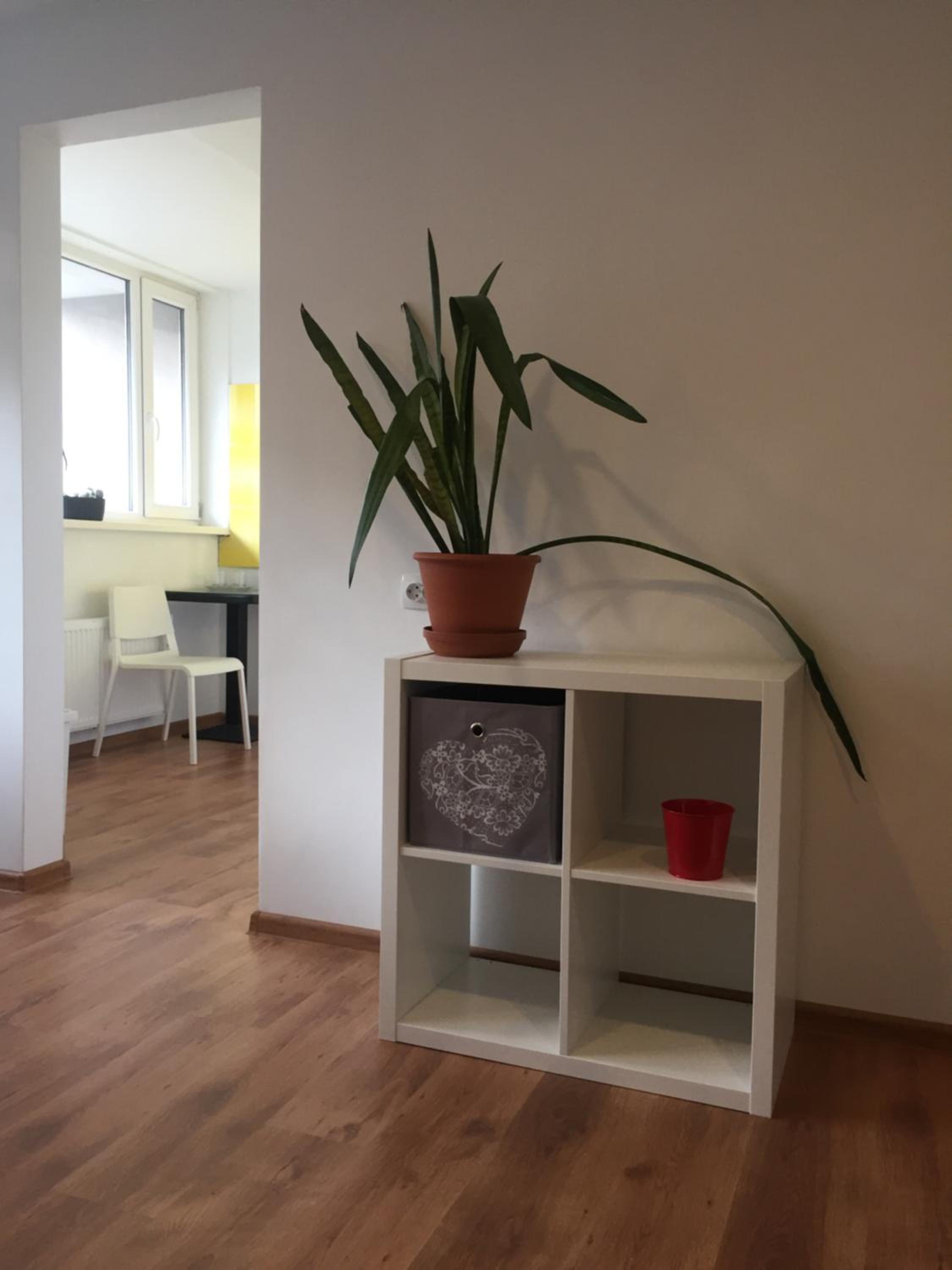 apartamenti Zirnis view 5