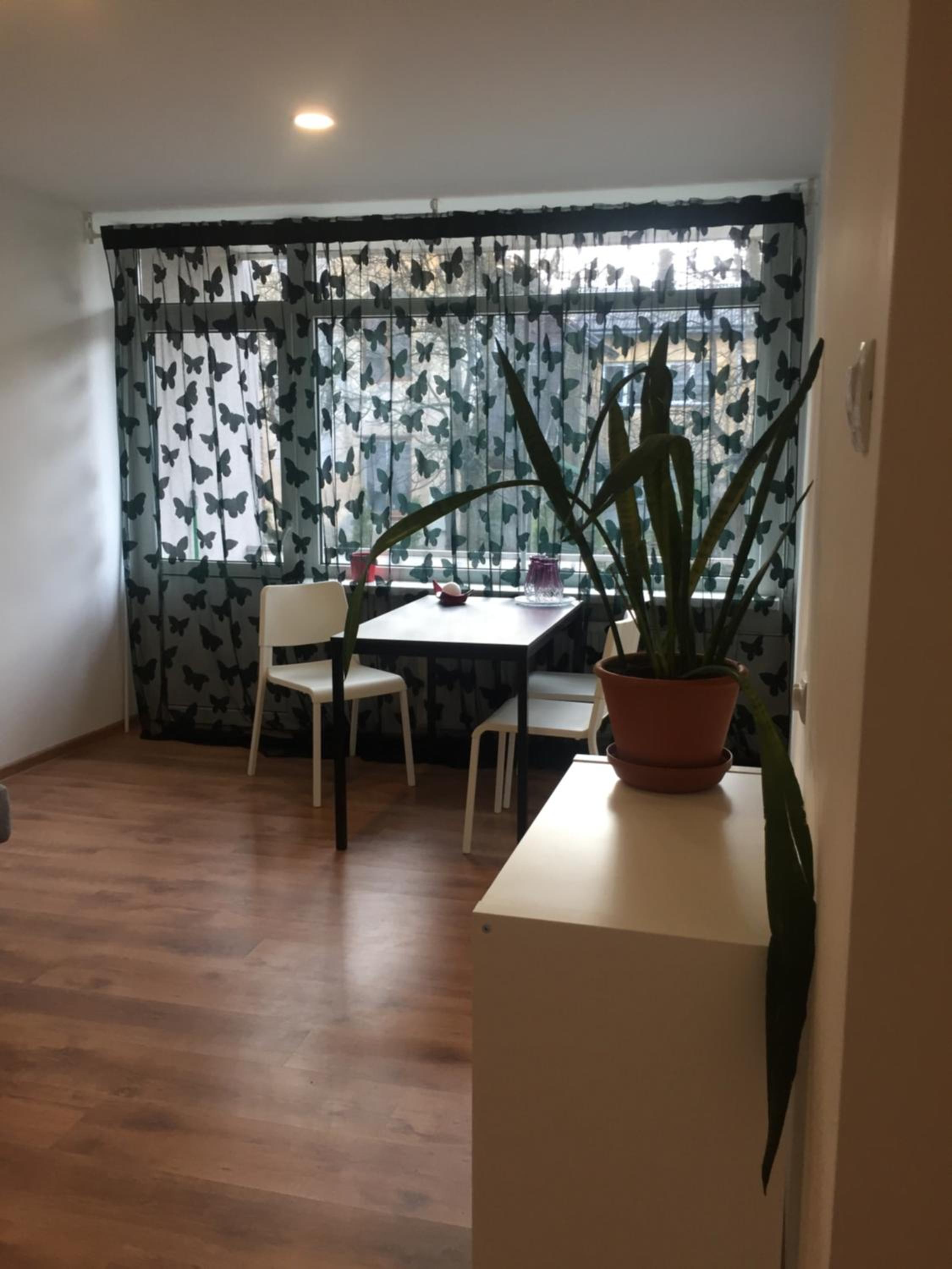 apartamenti Zirnis view 2