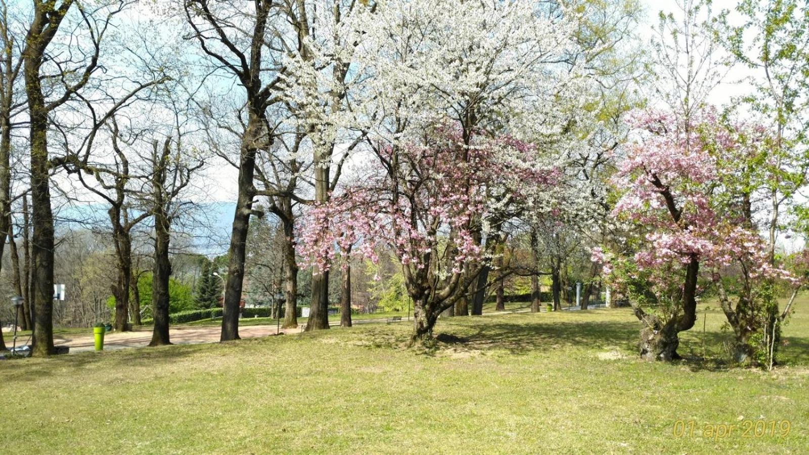Photo 44