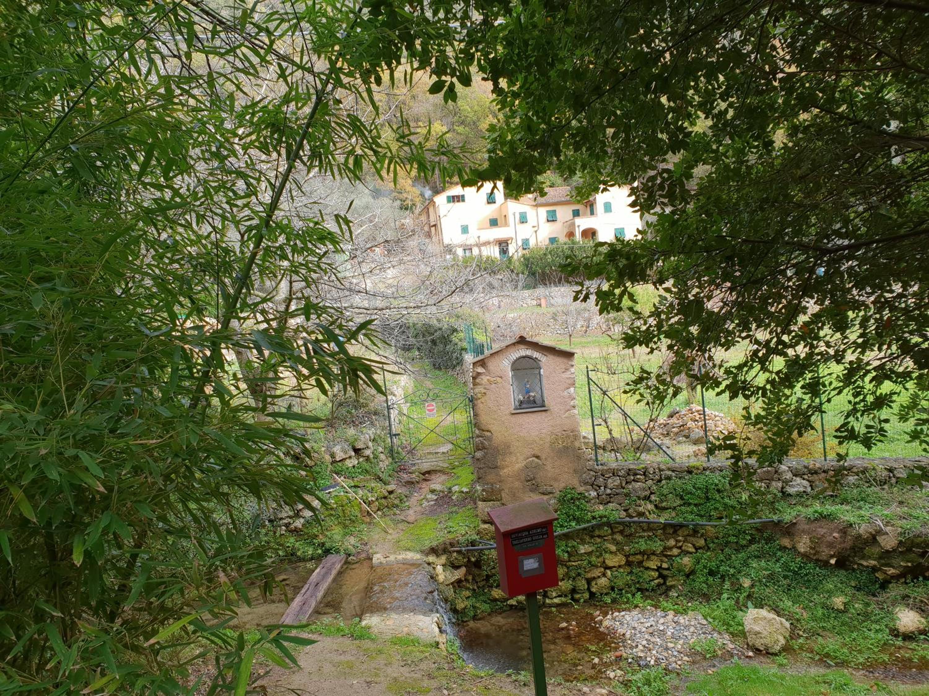 Photo 20
