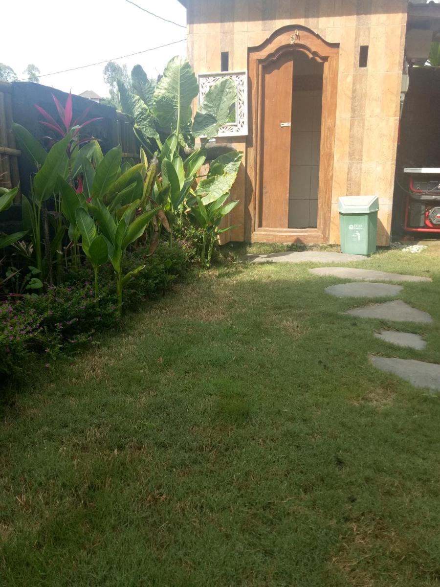 Photo 54