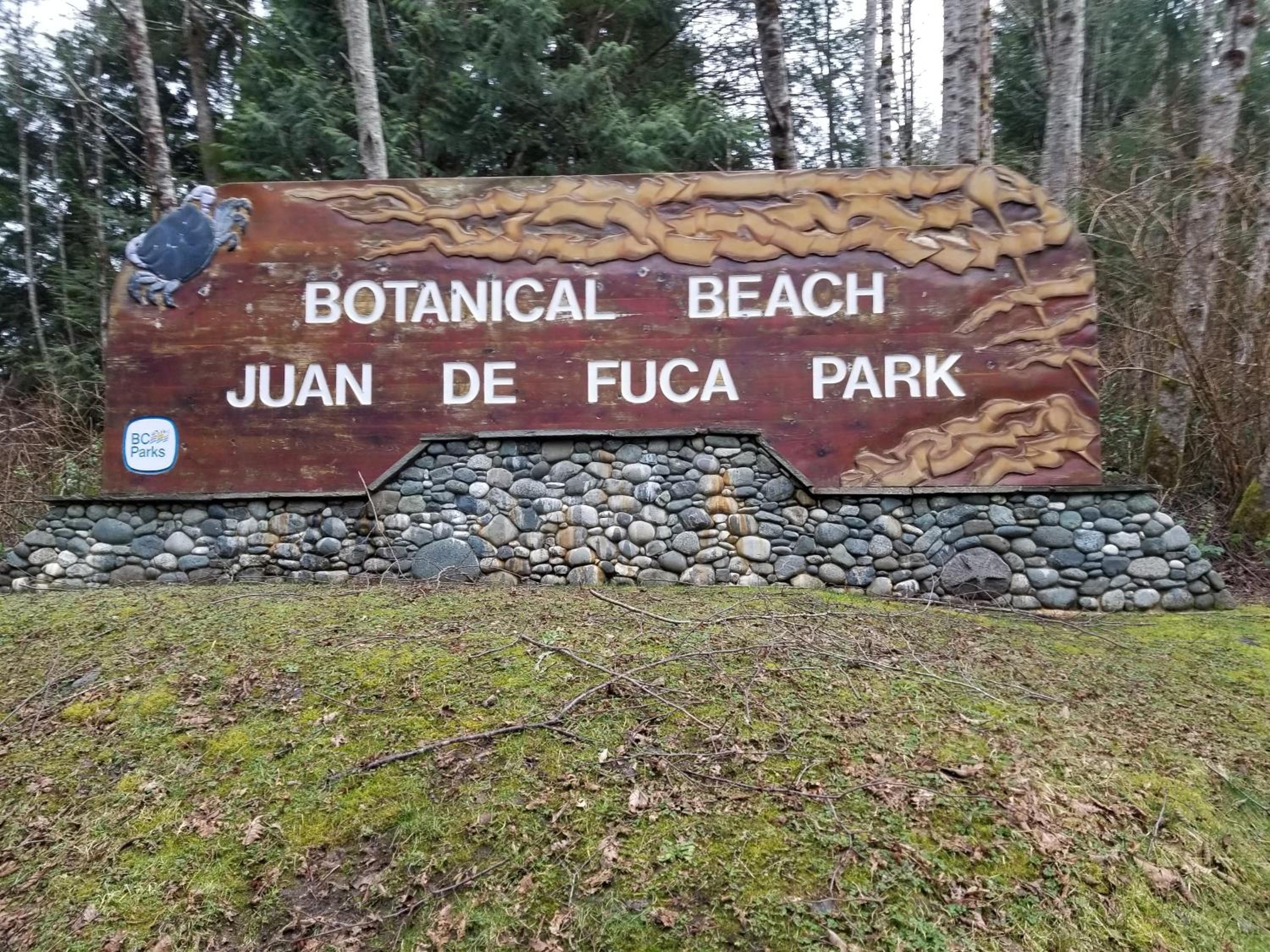 Newfie Seaside Retreat