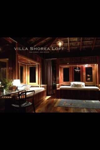 The Shorea
