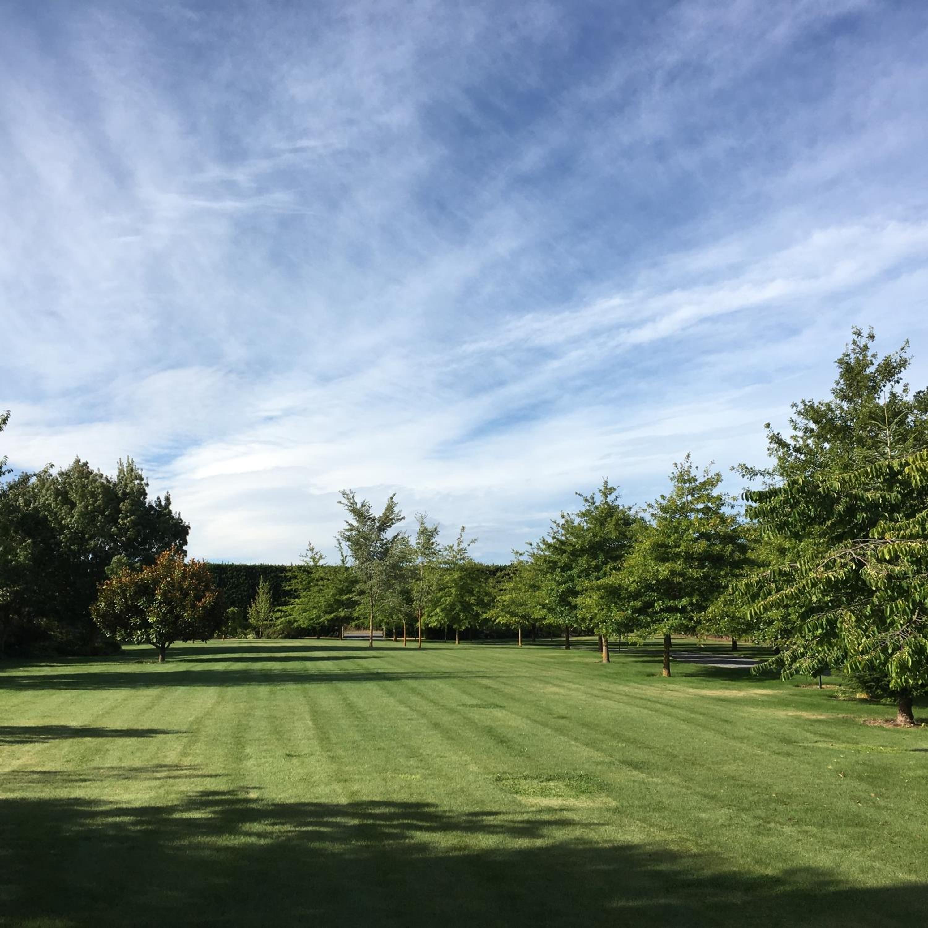 Chester Oaks B&B