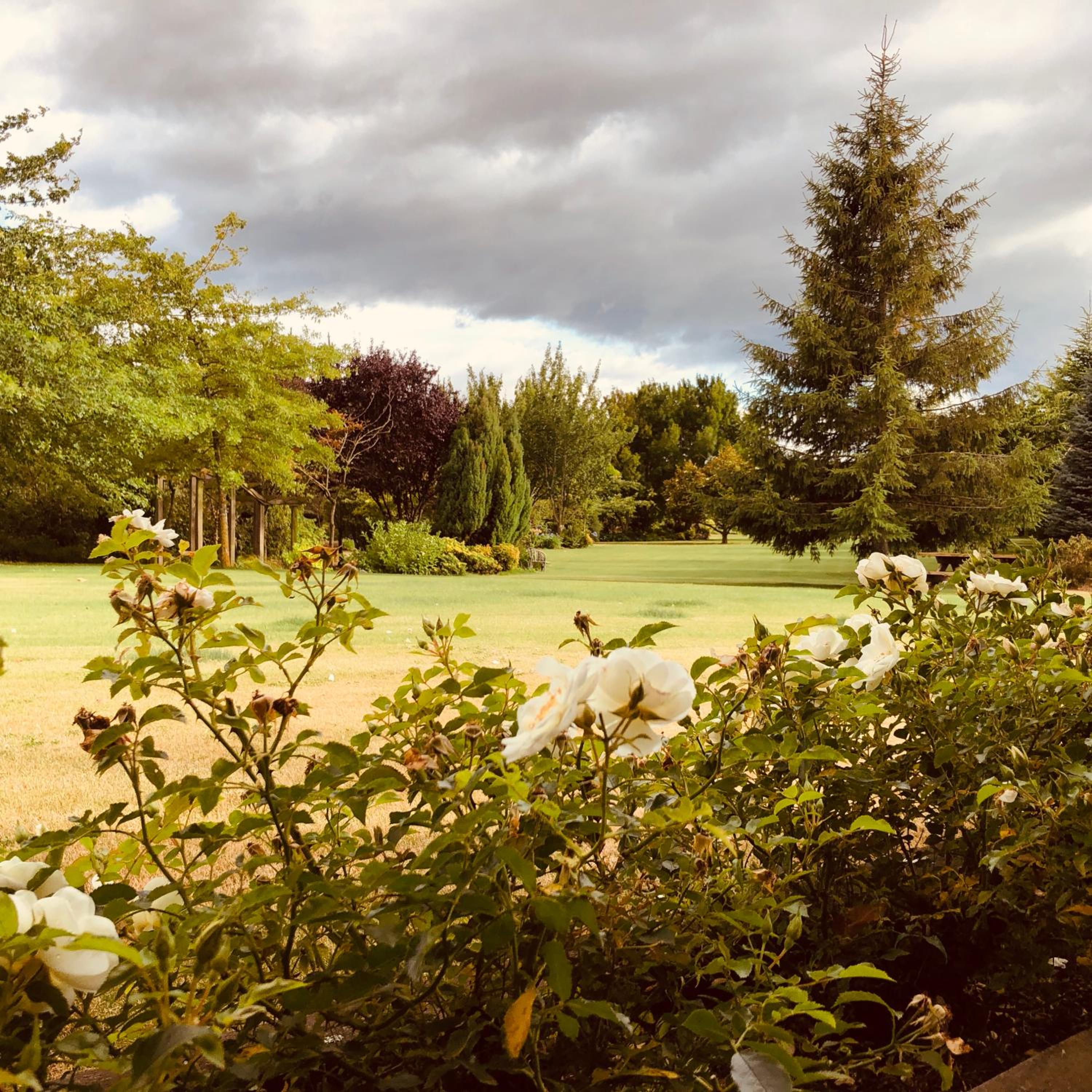 Chester Oaks B&B