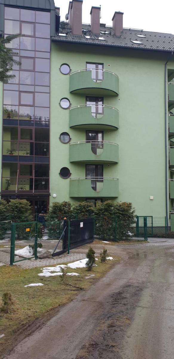 Apartamenty Krynica Zdrój view 3