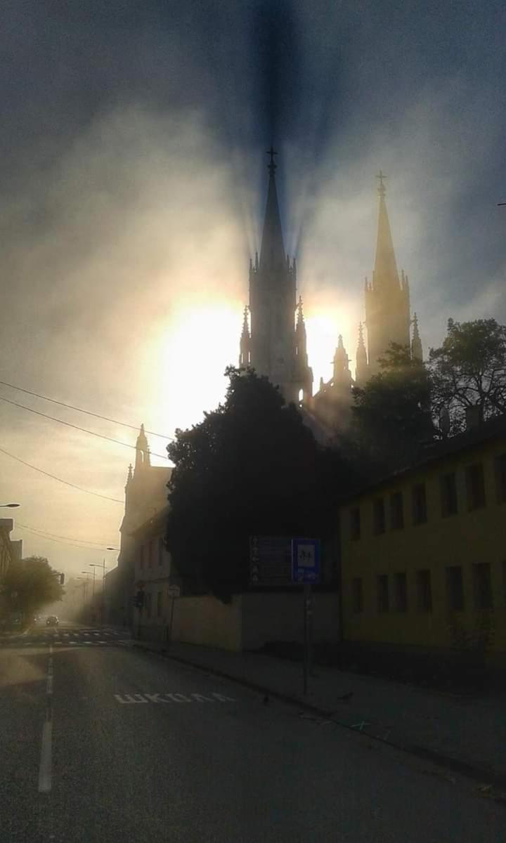 Photo 55