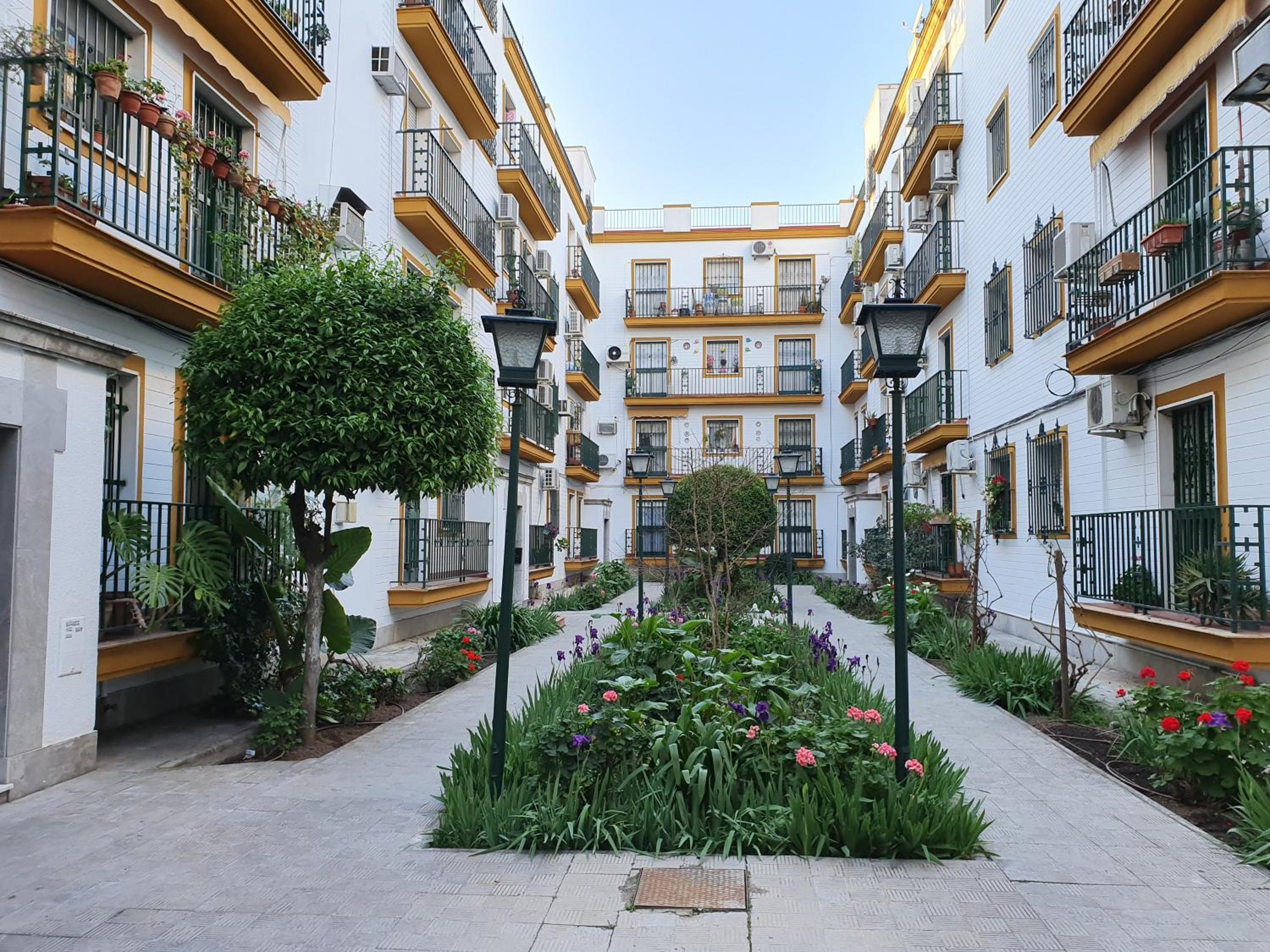 NOOL Sevilla view 2