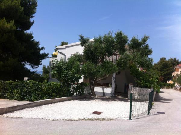 Photo 8
