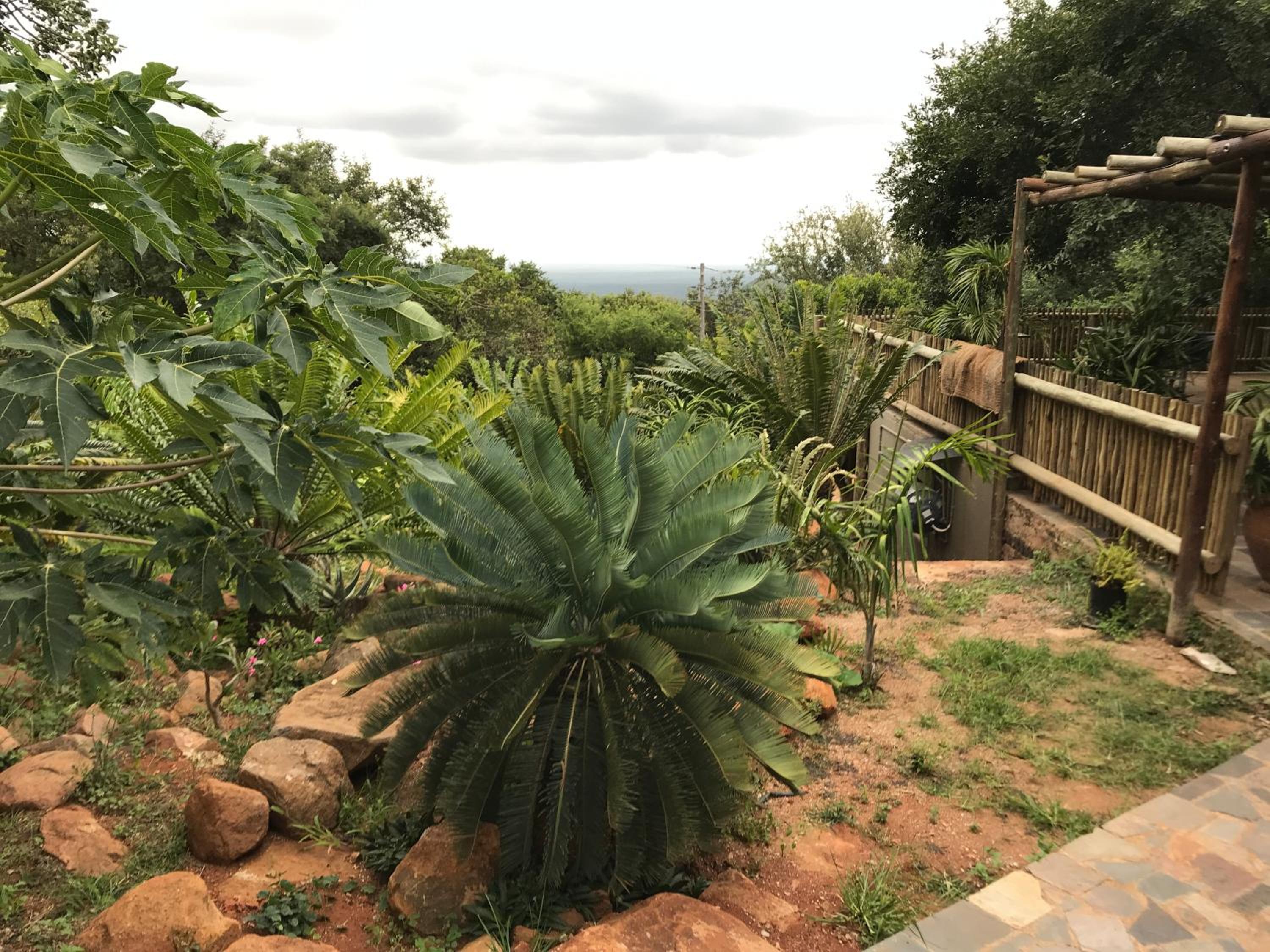 Amafu Forest Lodge