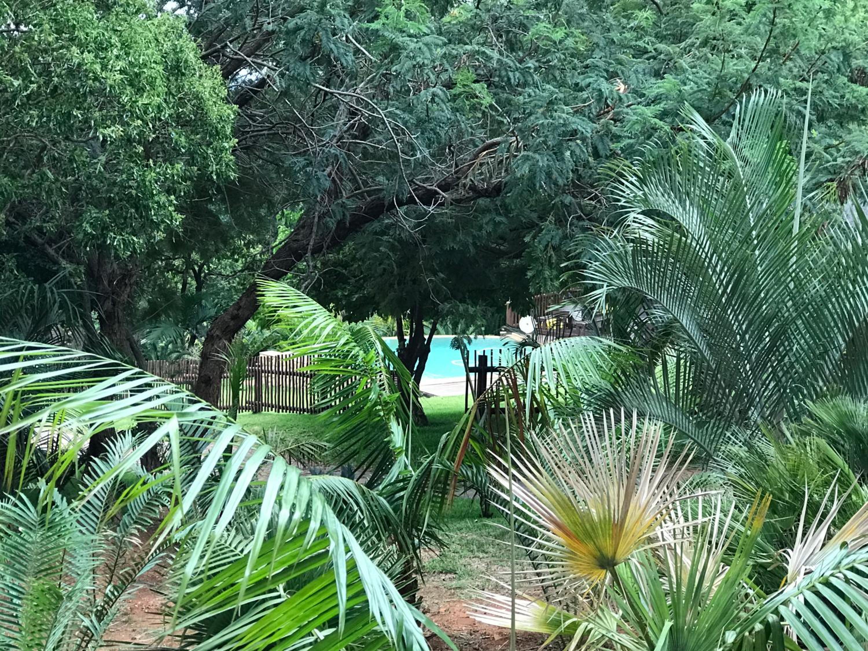 Amafu Forest Lodge