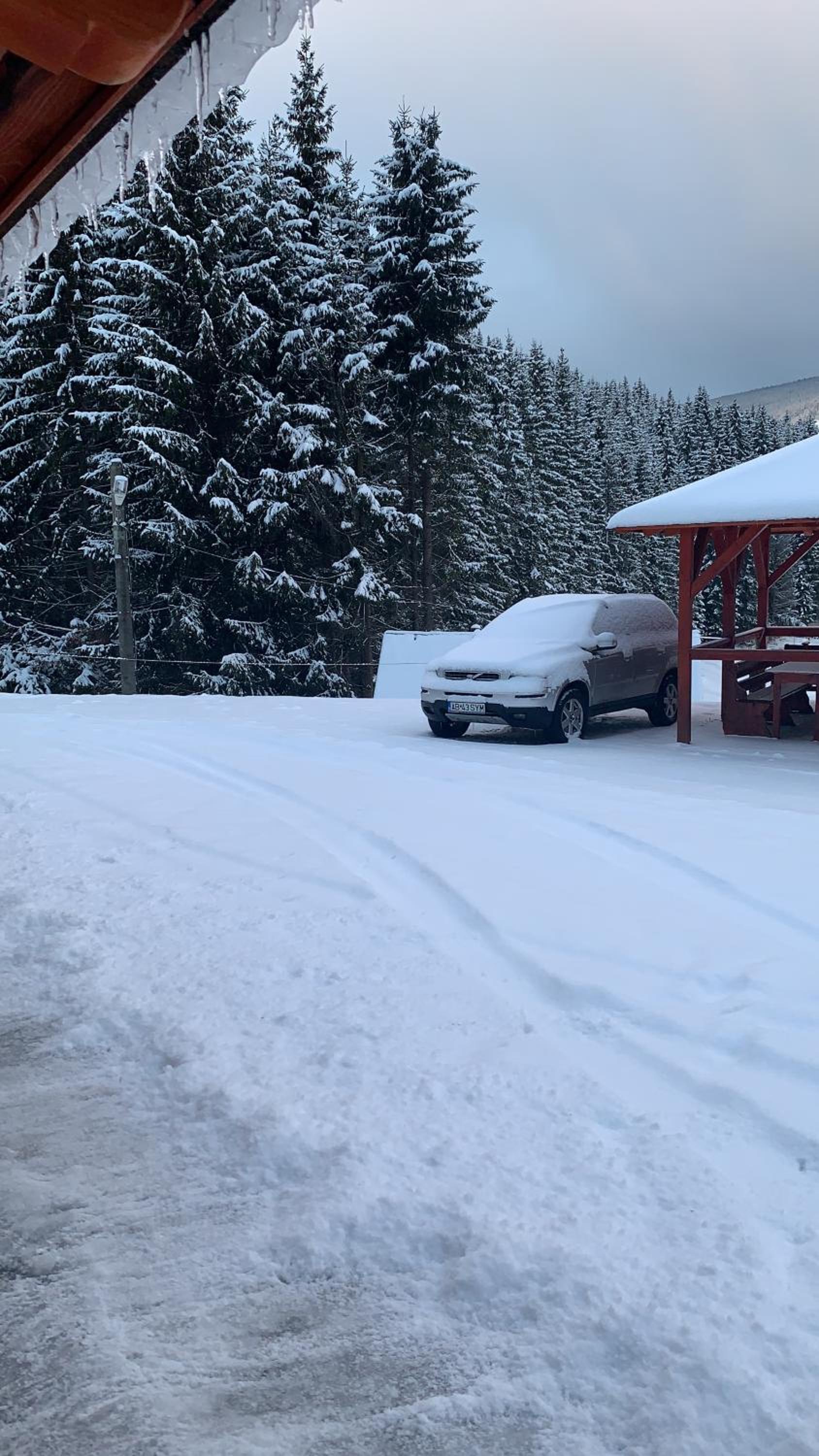 Cabana Cerbul-Oasa-Transalpina