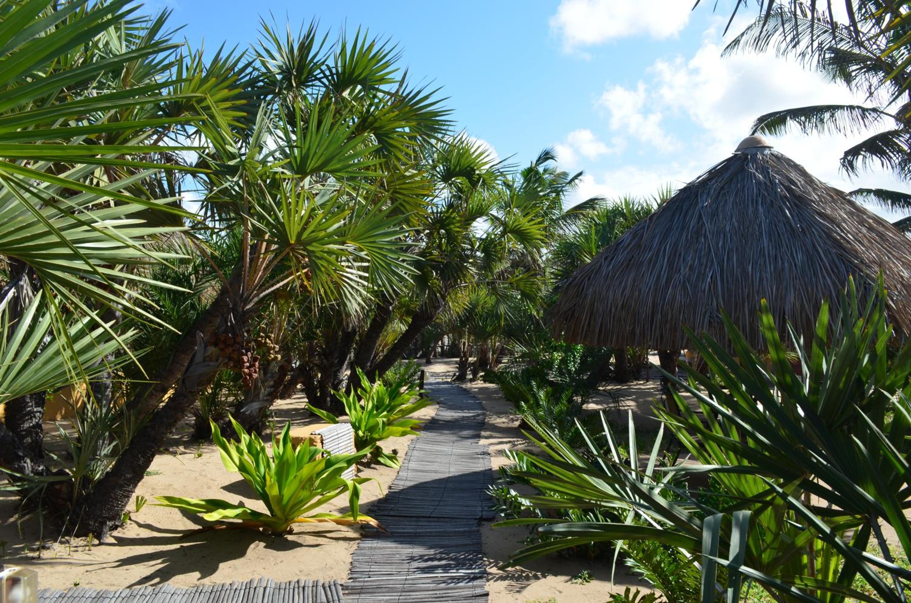 Mango Beach Resort