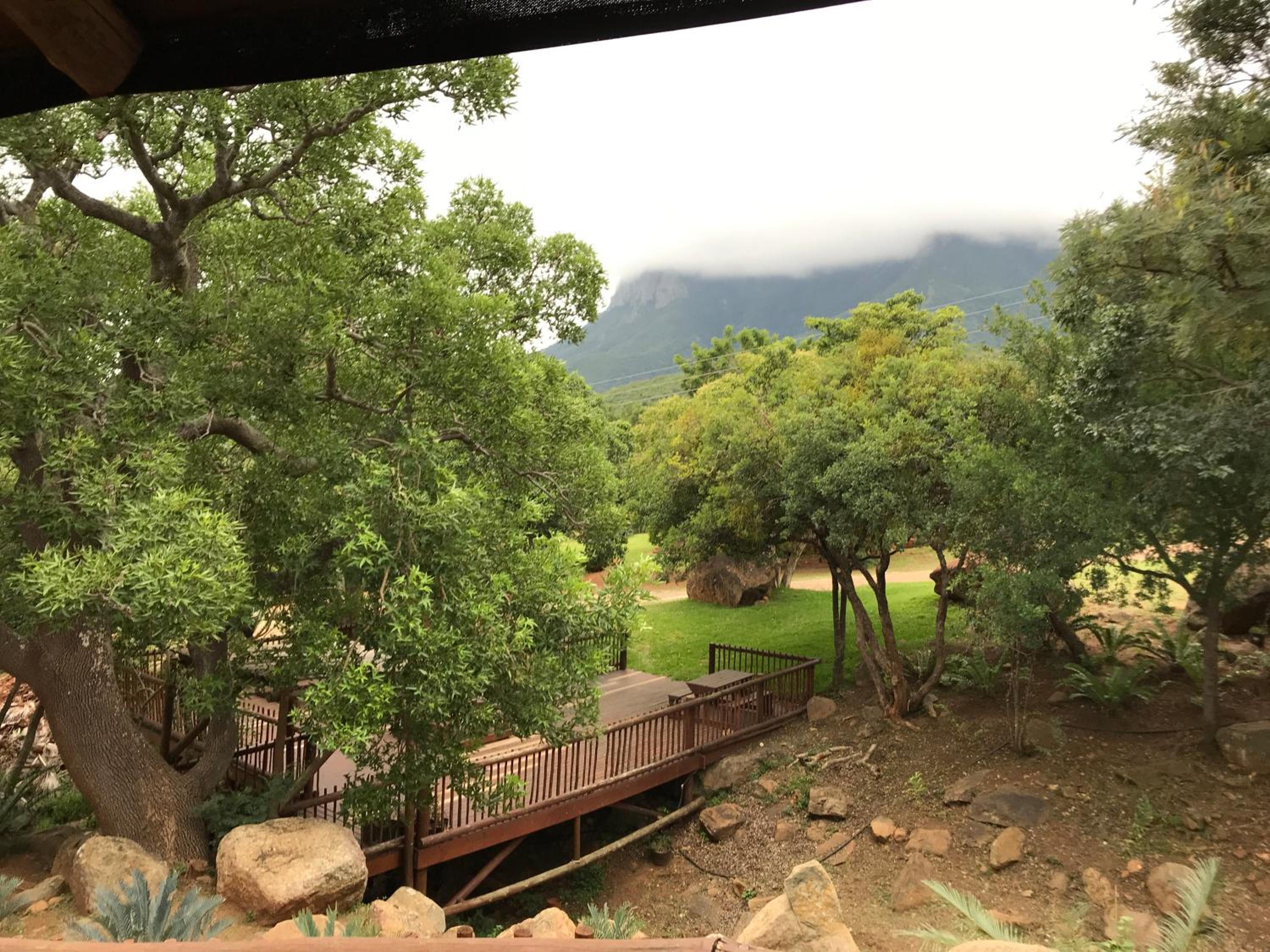 Amafu Forest Lodge