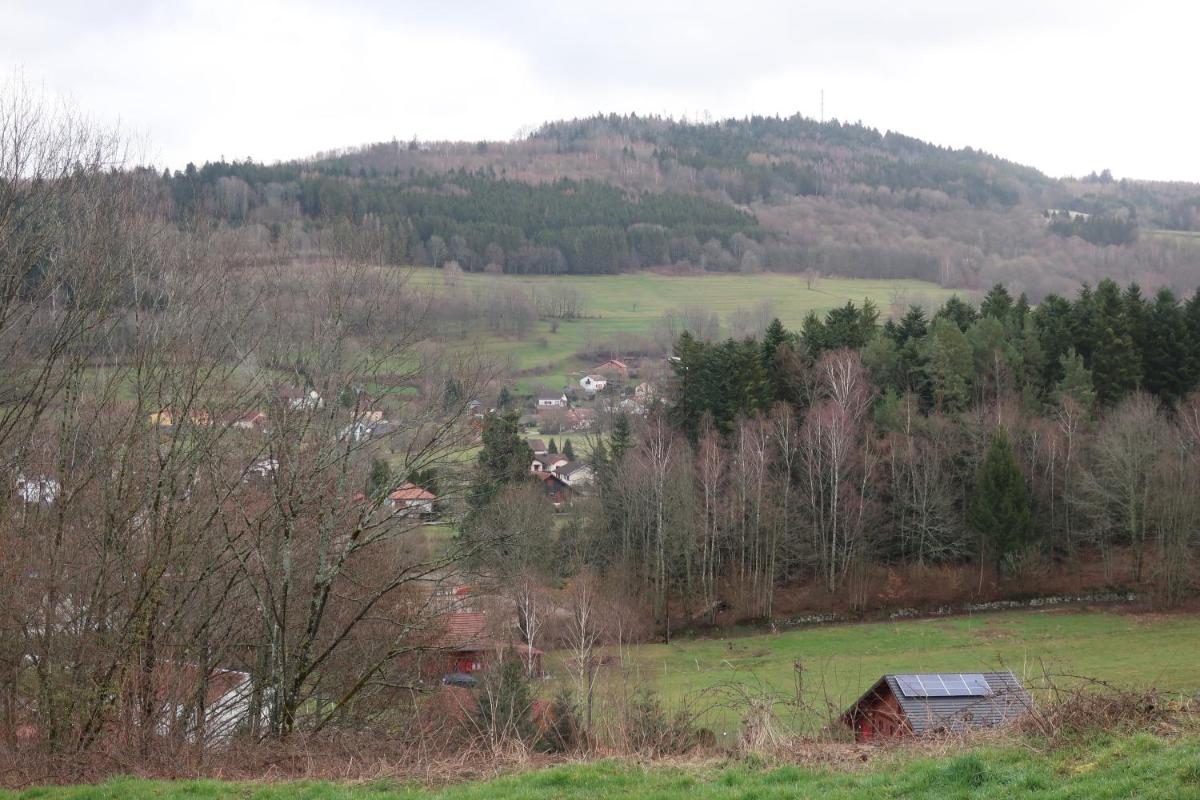 Photo 47