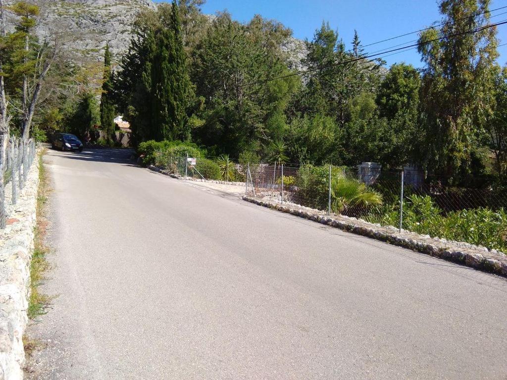 Photo 17