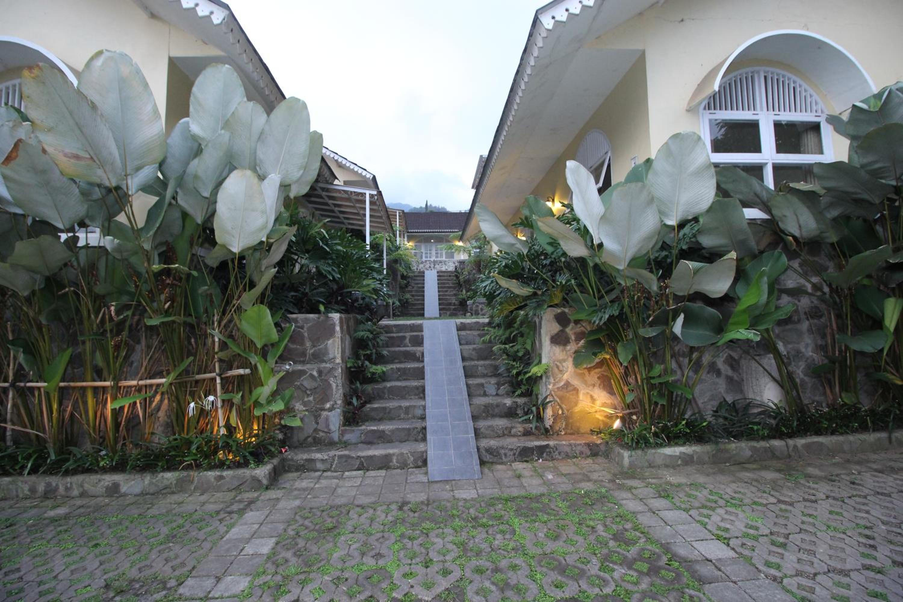 Photo 38