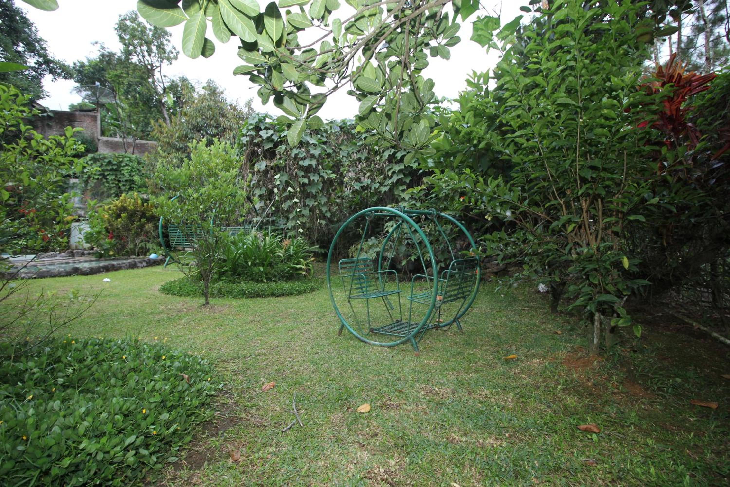 Photo 25