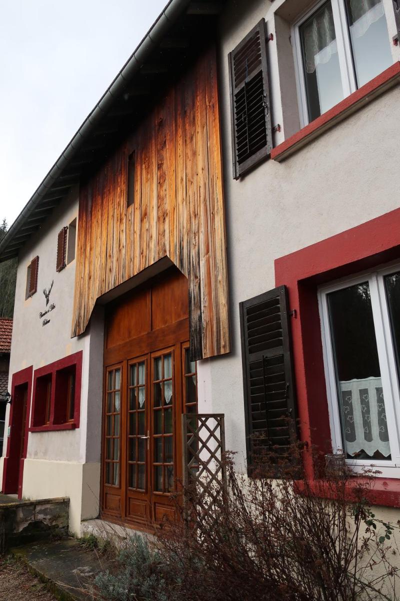 Photo 43
