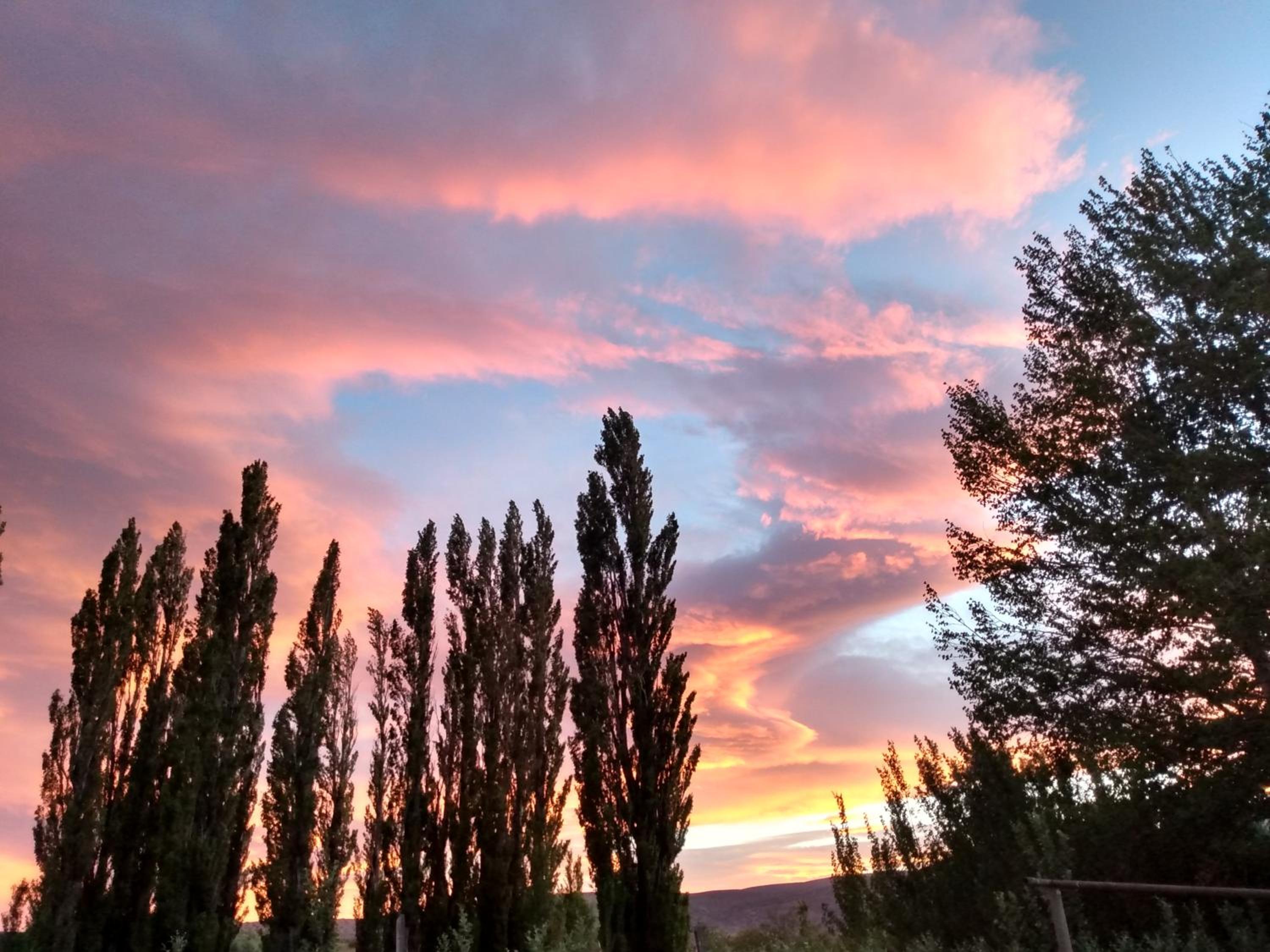 Descanso cordillerano llano blanco