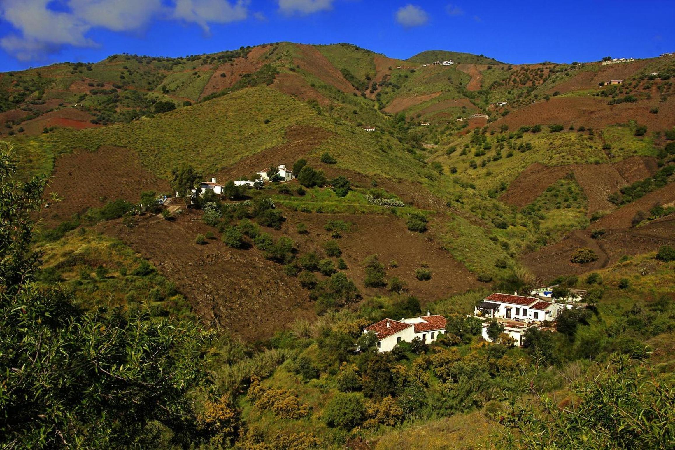 Cortijo Lagar de Luisa view 4