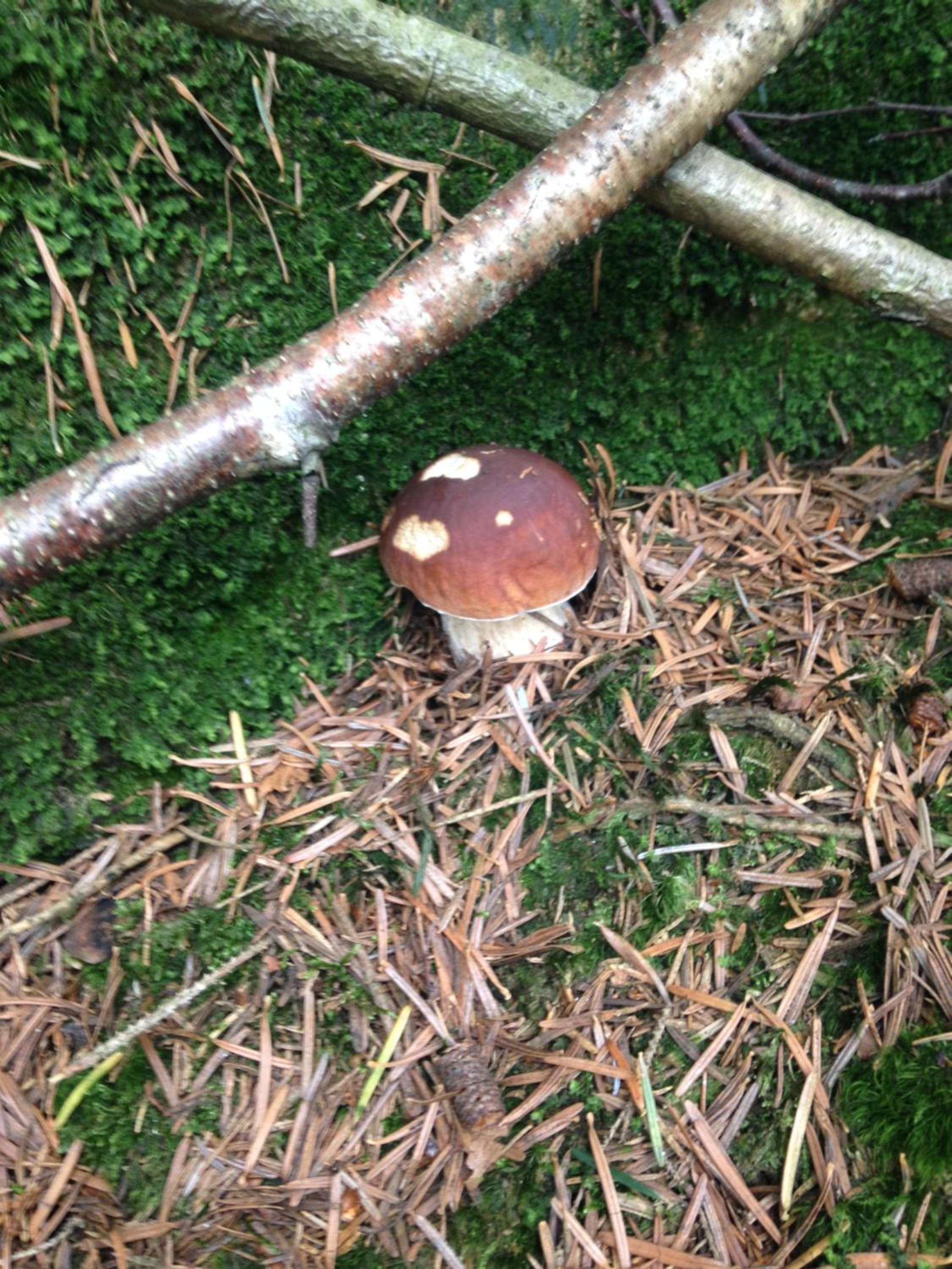 Photo 21