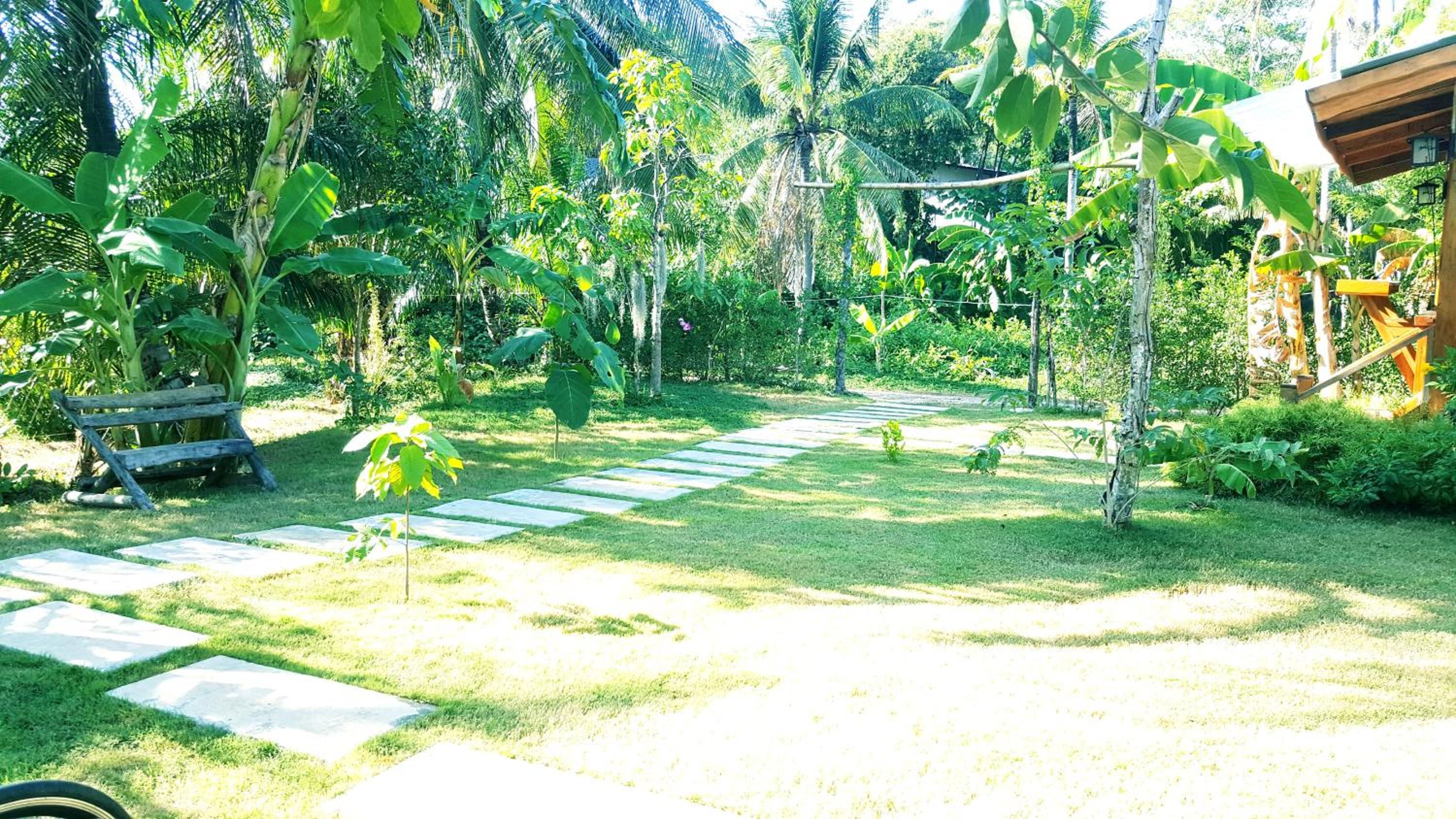 Photo 7