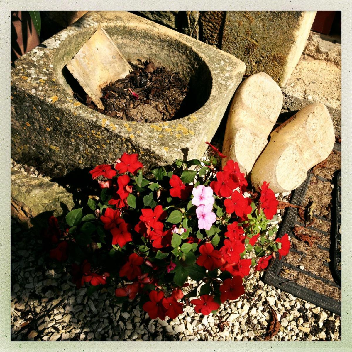 Photo 38
