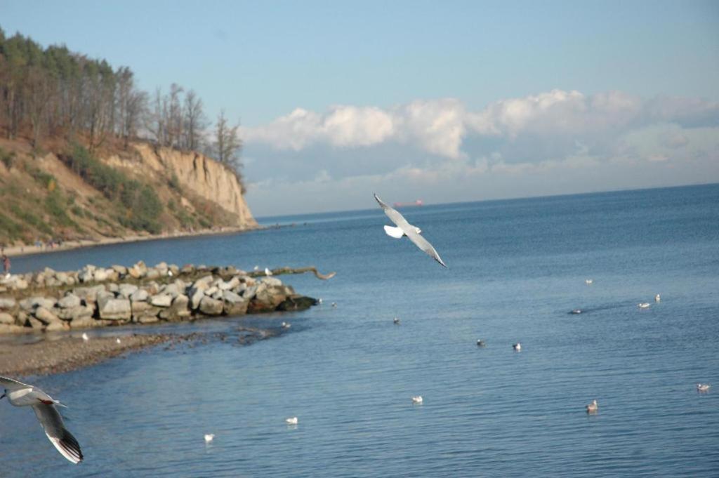 Photo 49