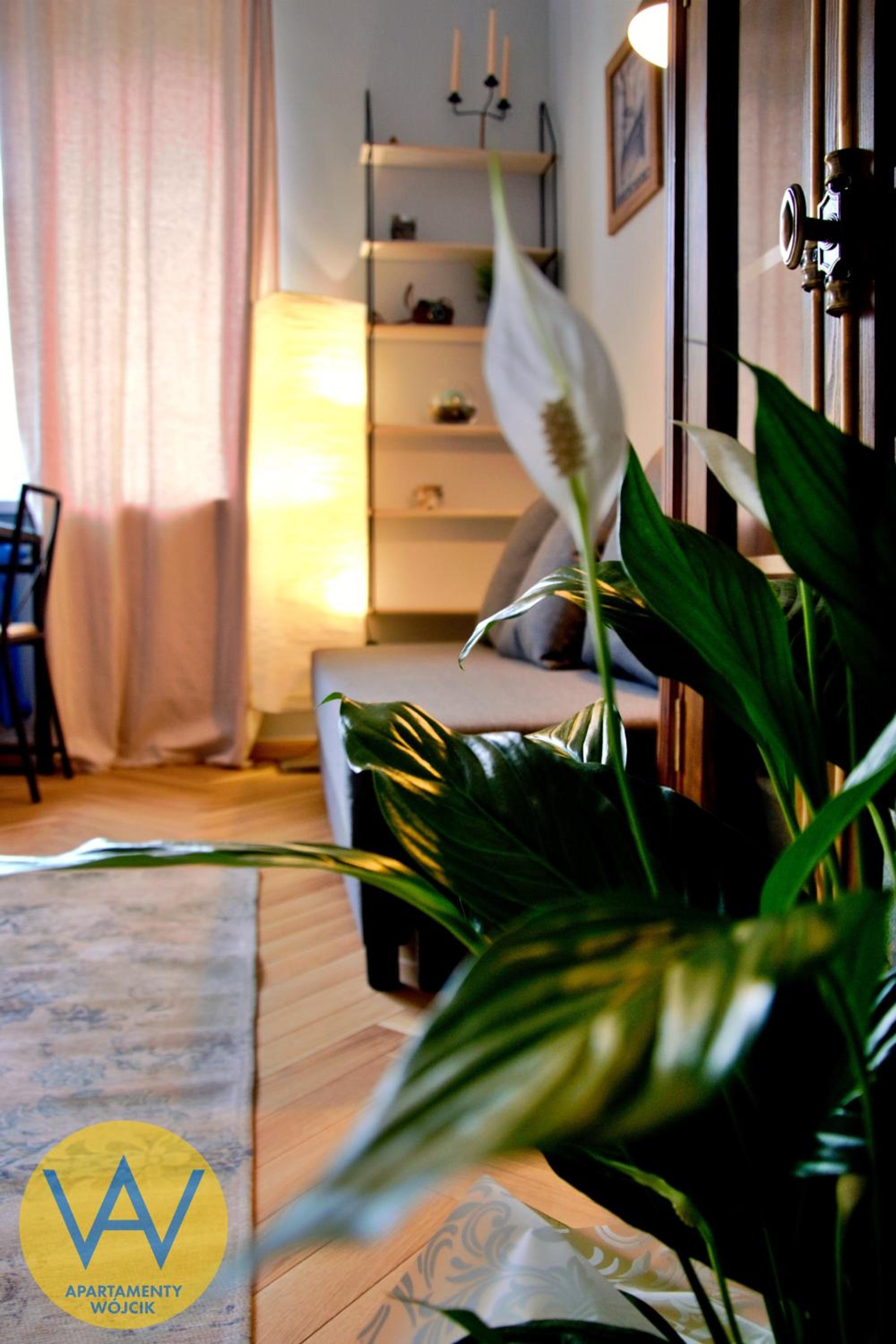 Apartamenty Wójcik Loft view 4