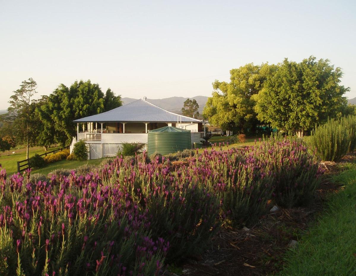Dayboro - Blue Ridge Lavender Cottage