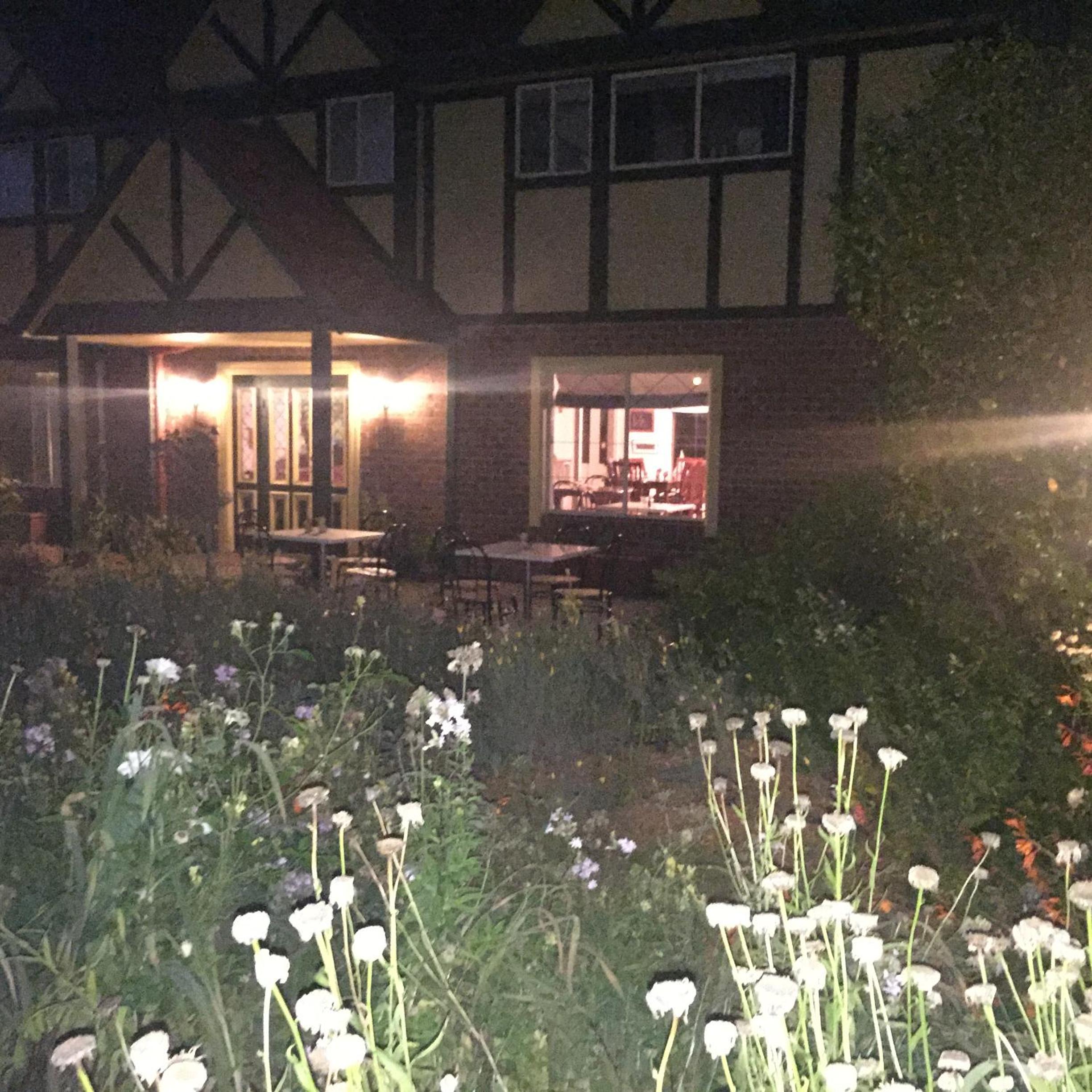 Oaktree Guest House